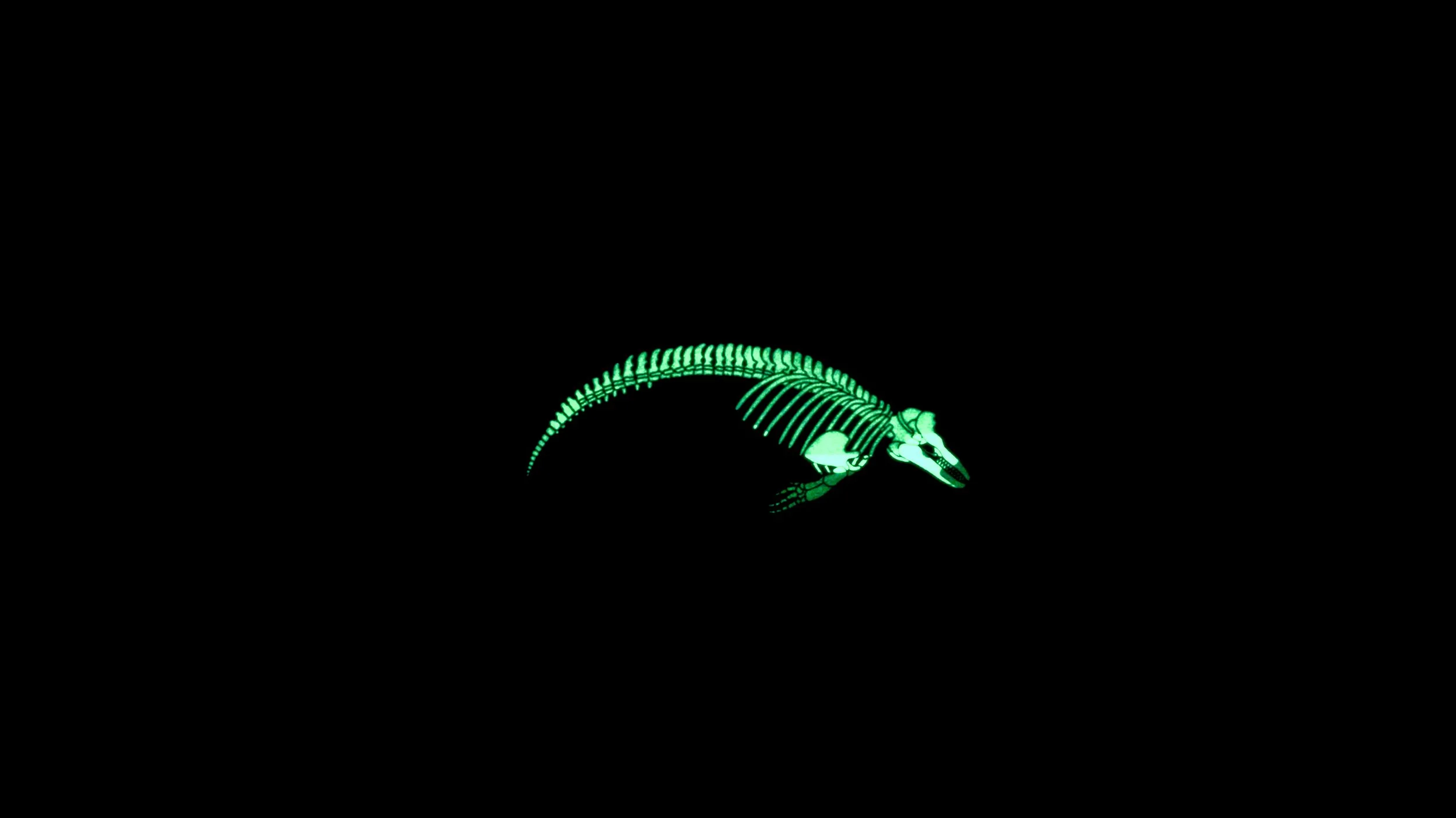 SKELLY IN UV.jpg