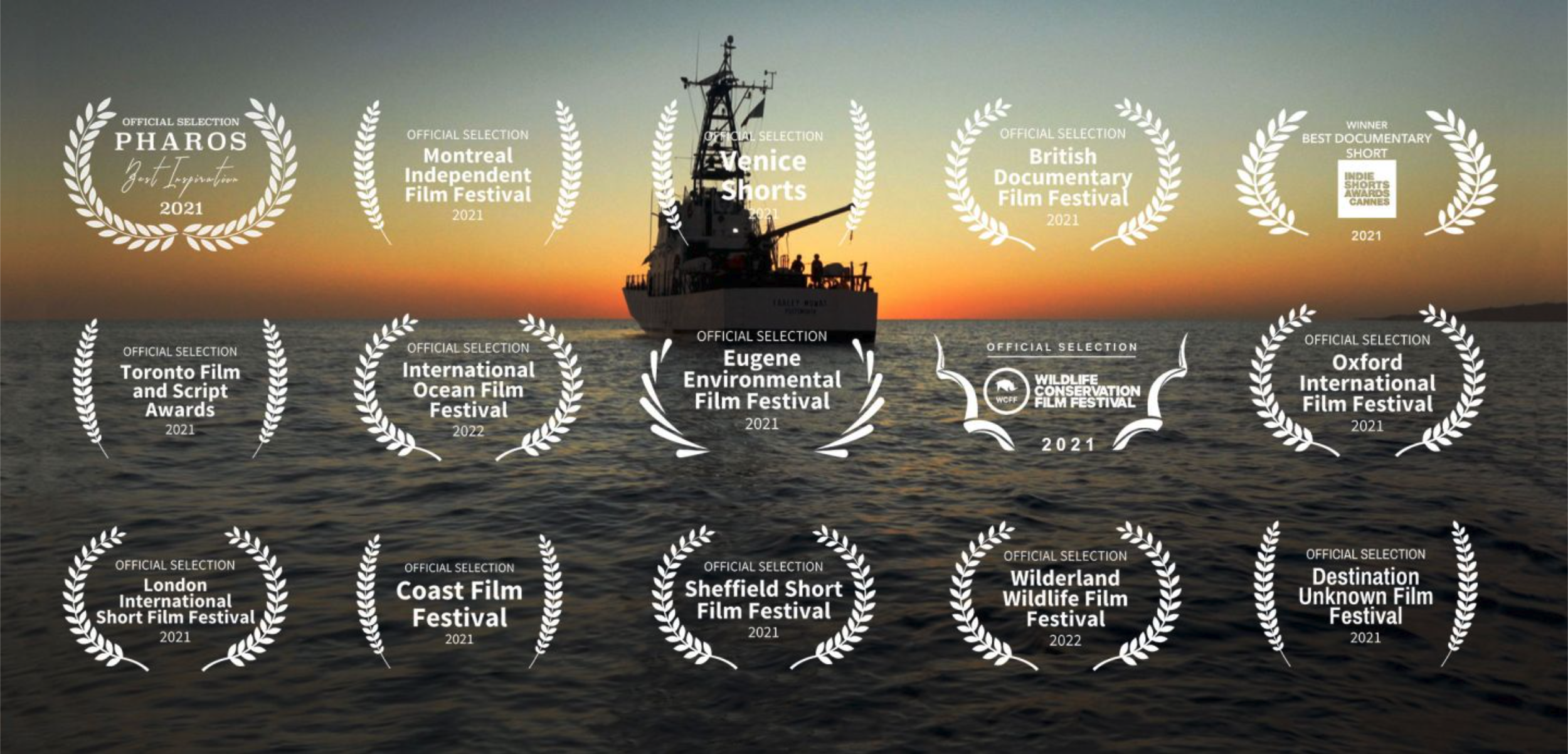 The Last Vaquita