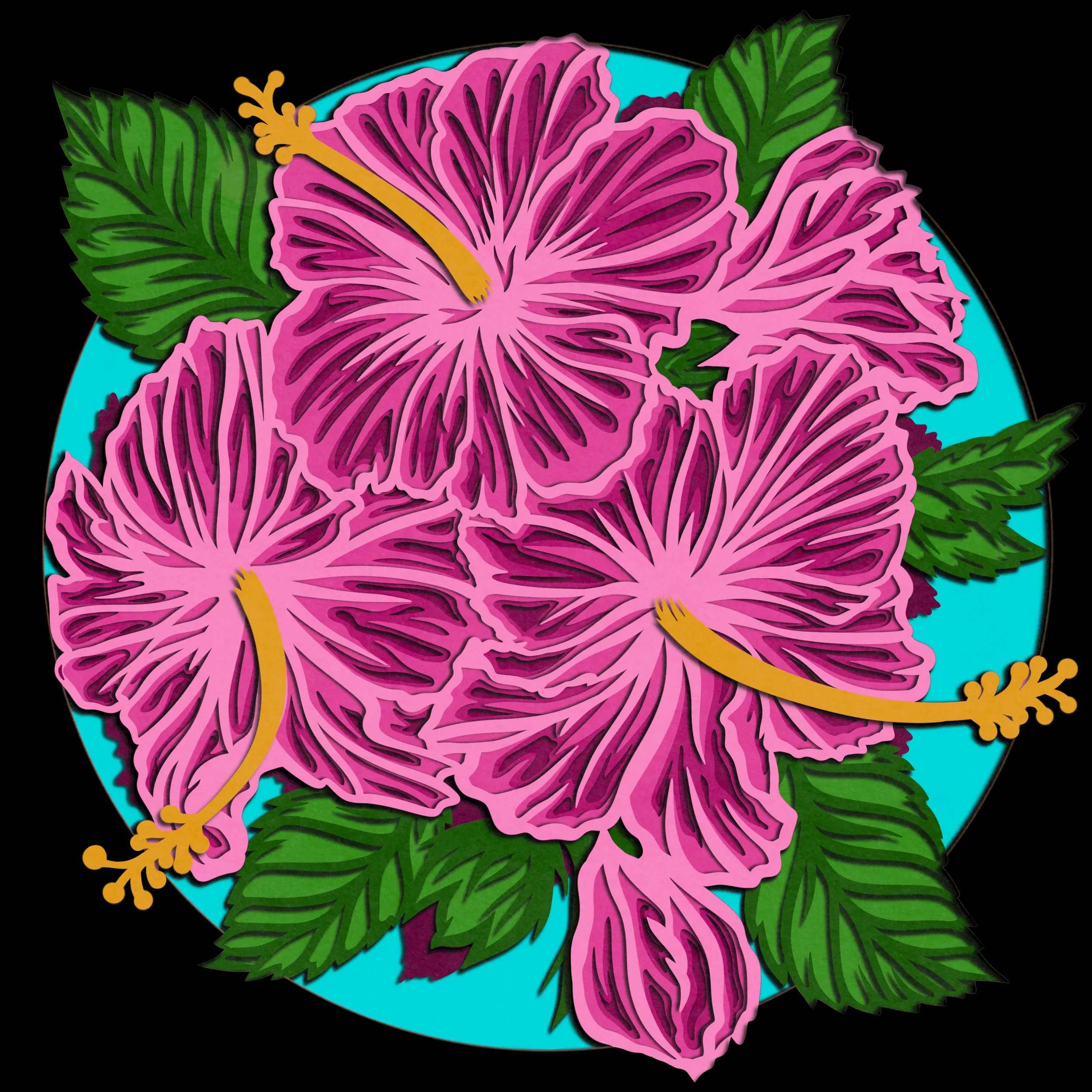 Illustration of three pink hibiscus flowers with green leaves on a turquoise background.