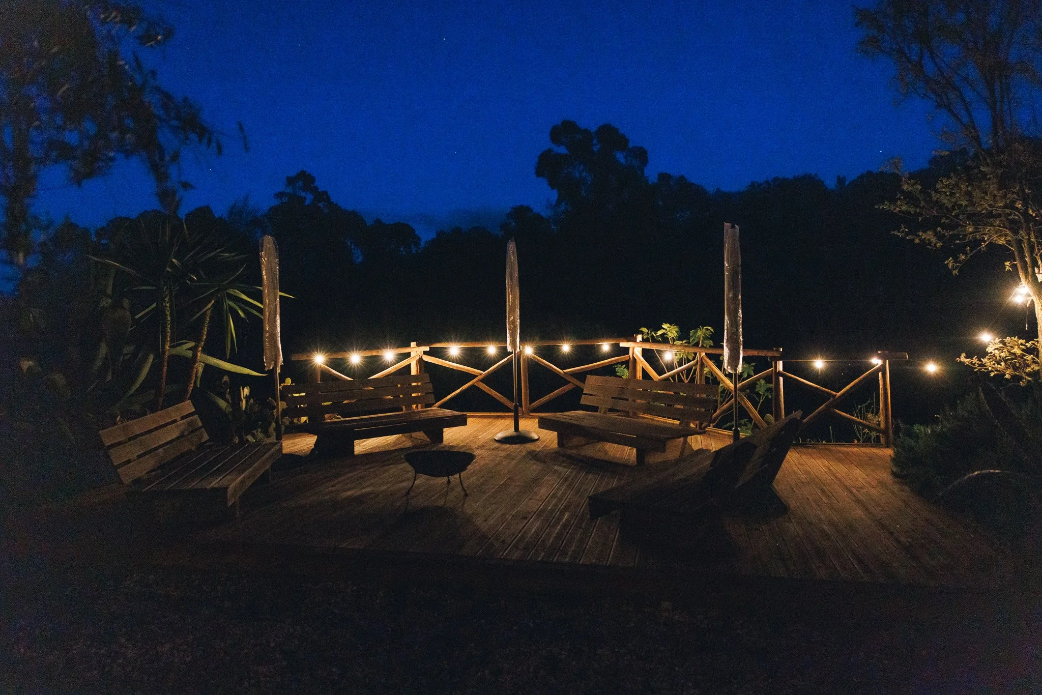4Y8A0100.jpg