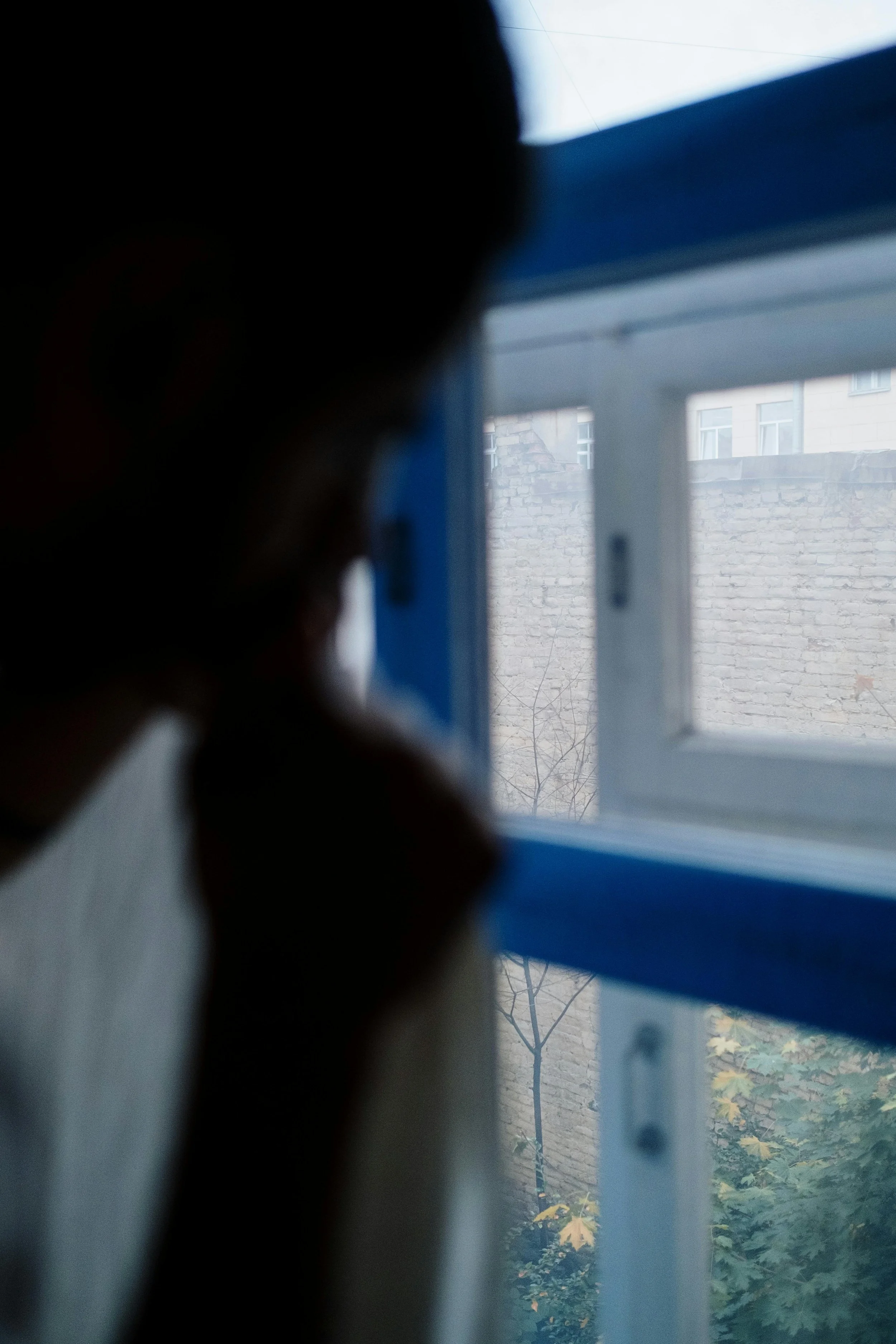 Person looking out a window on a cloudy day, with a brick wall and tree visible outside.