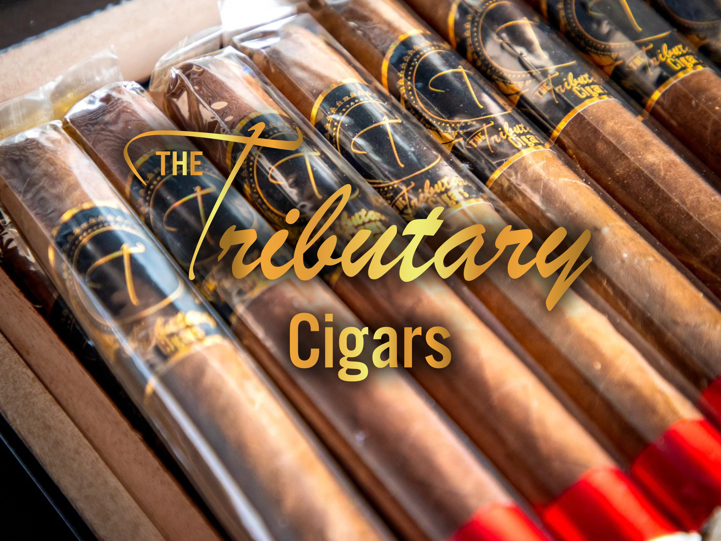 Tributary Cigars