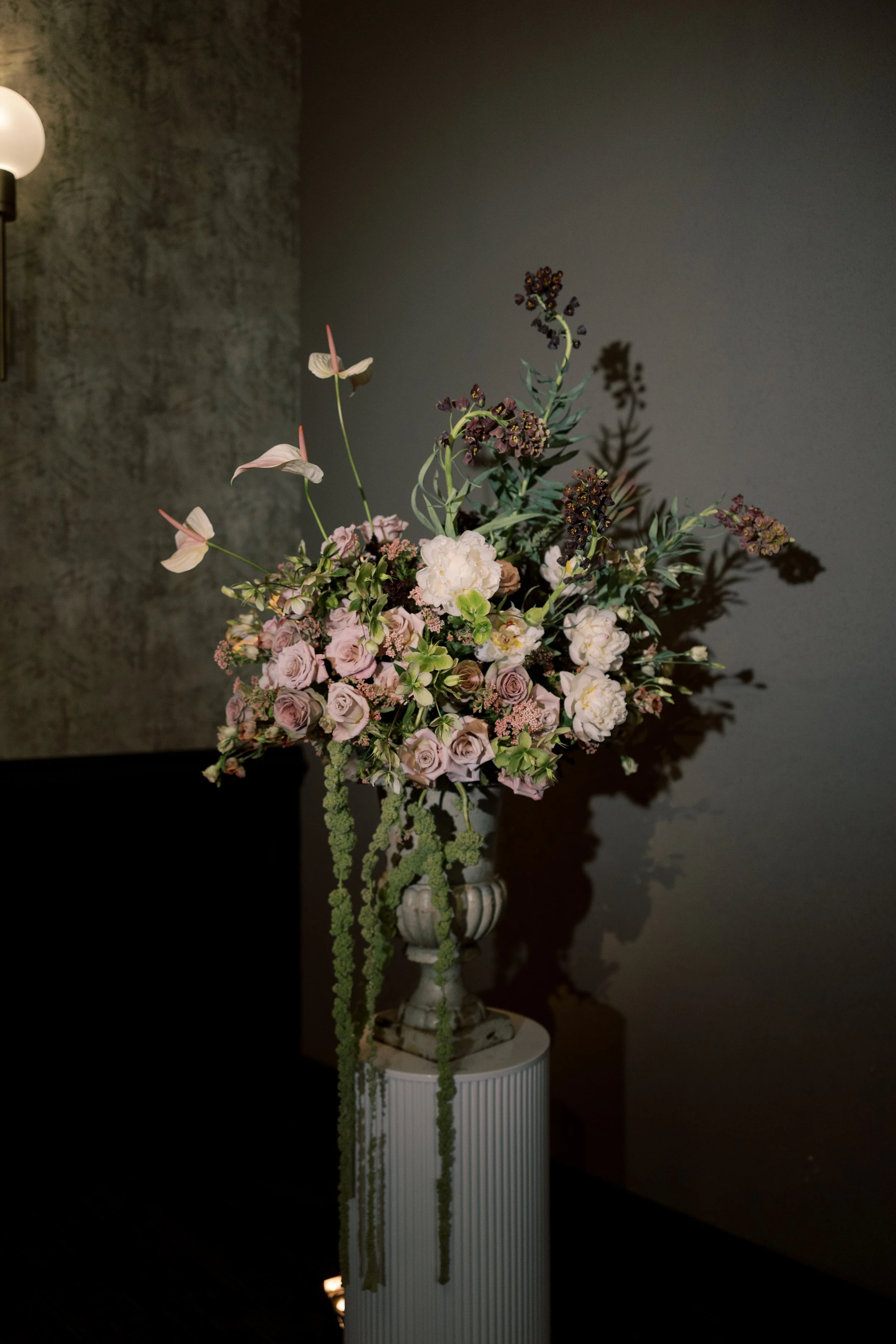 032226.PHLWW.FITLER.JESS.PALATUCCI-48.jpg
