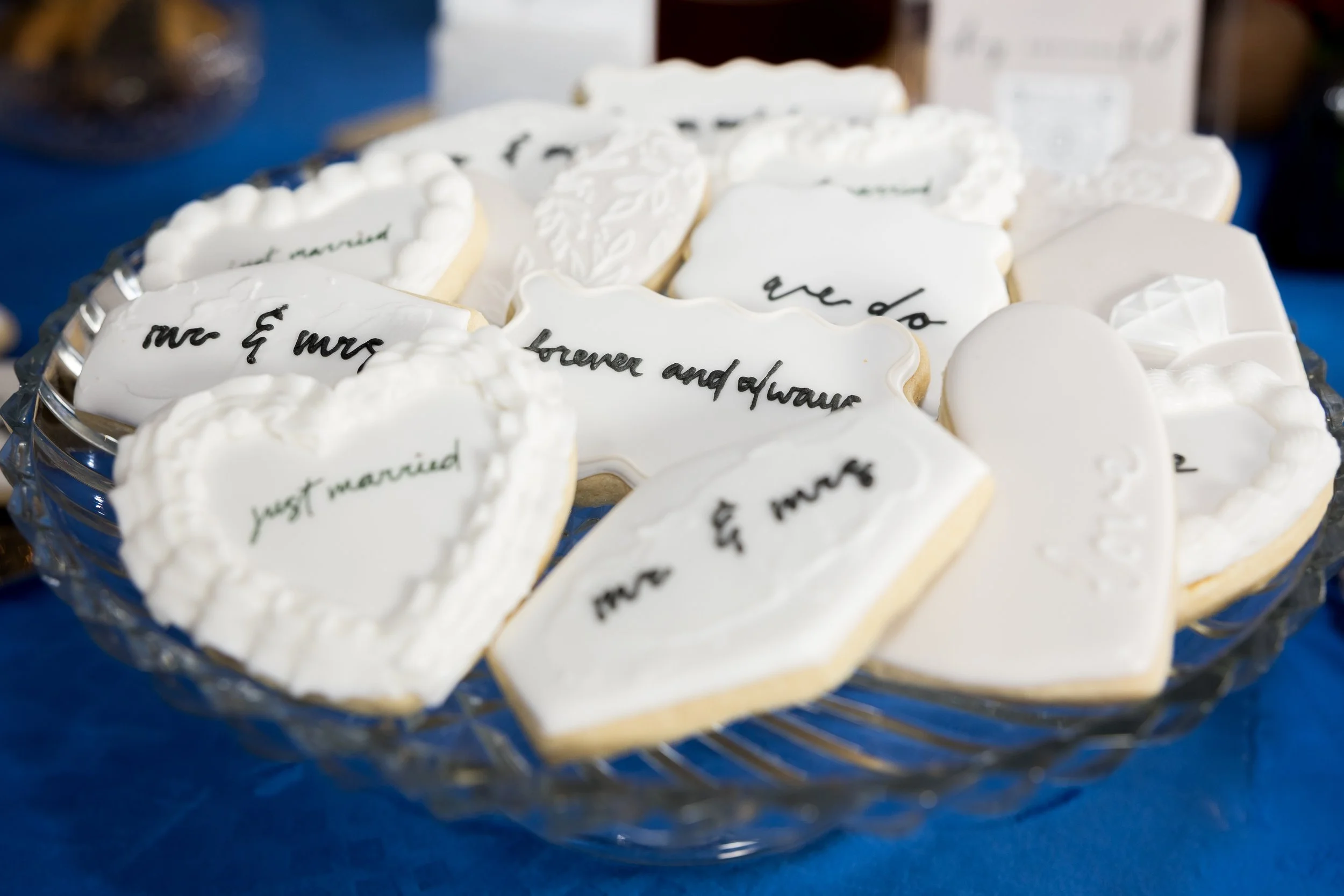 Philadelphia-Wedding-Walk-2026_AbhiSarkar-142.jpg