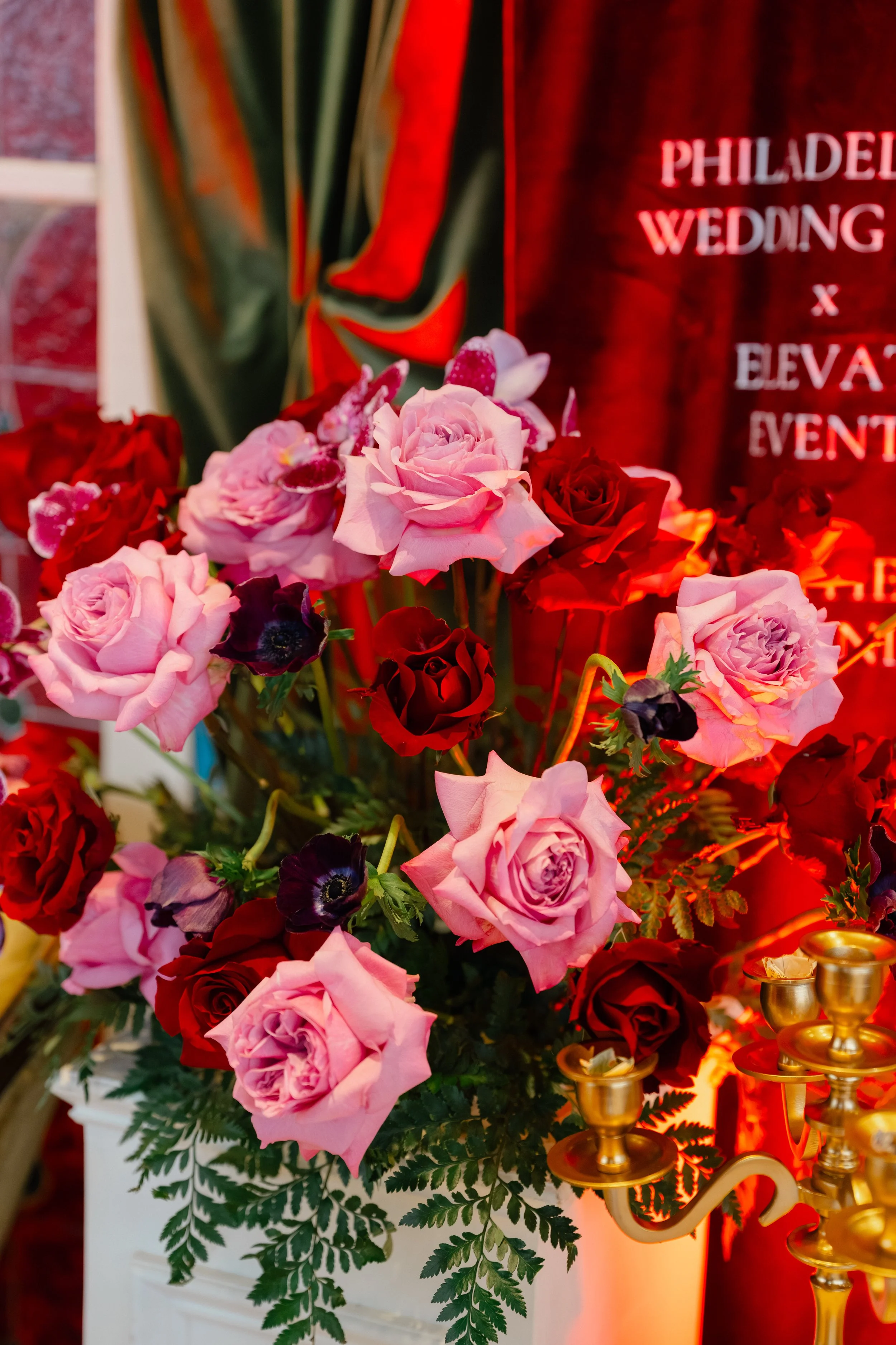 2026PhiladelphiaWeddingWalk-AimeeNicolePhoto35.jpg