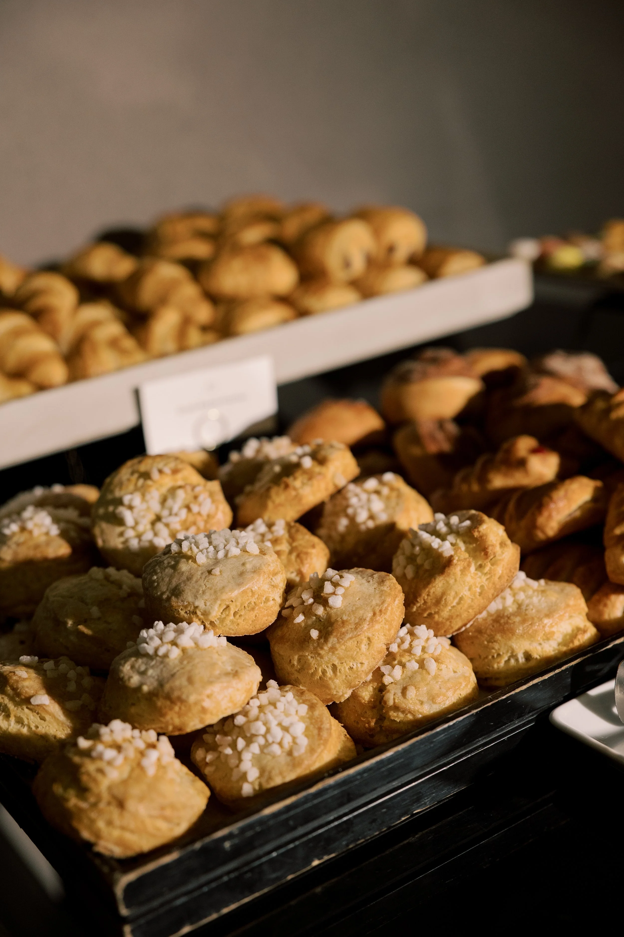 032226.PHLWW.FITLER.JESS.PALATUCCI-63.jpg
