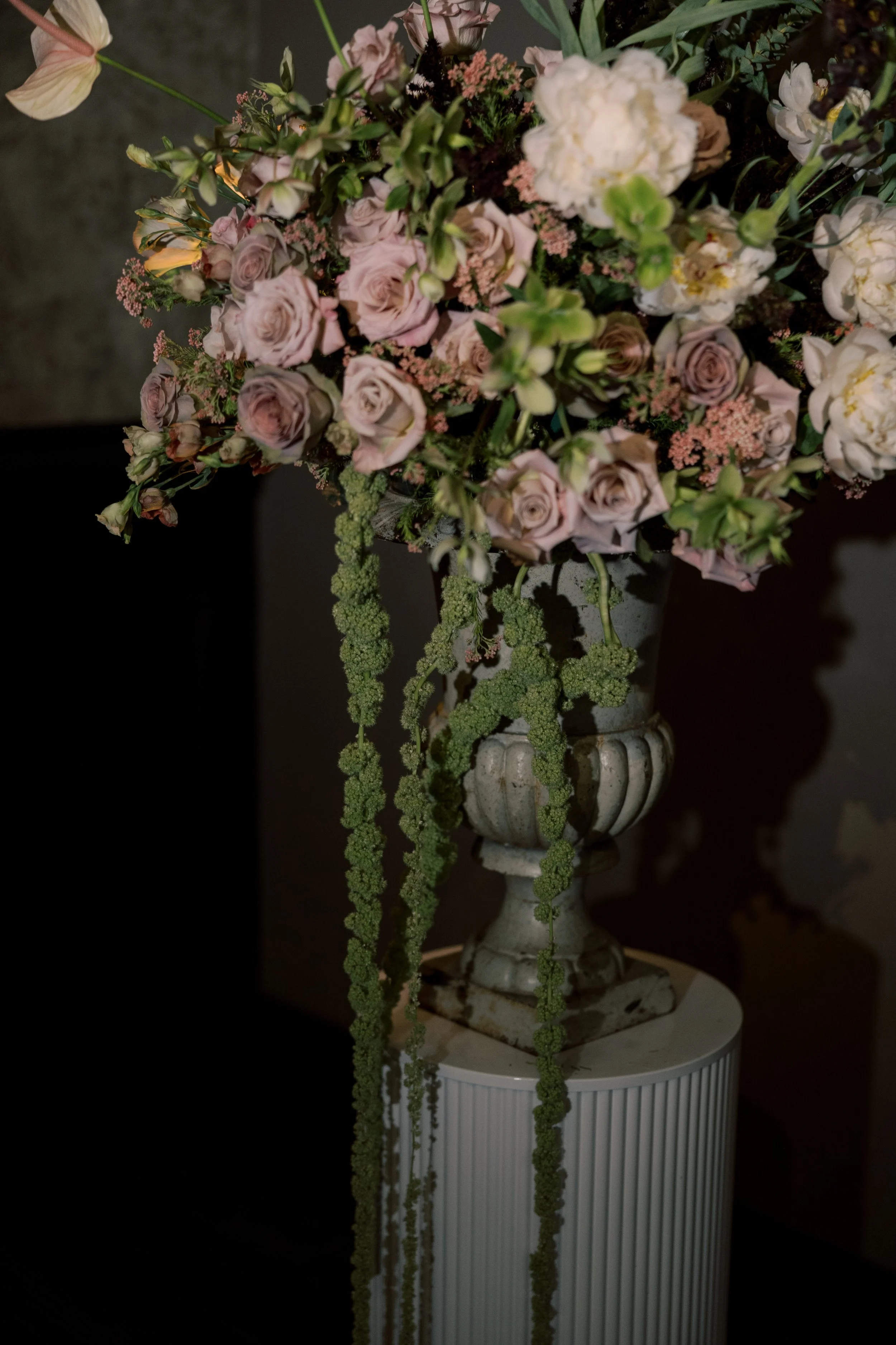 032226.PHLWW.FITLER.JESS.PALATUCCI-45.jpg