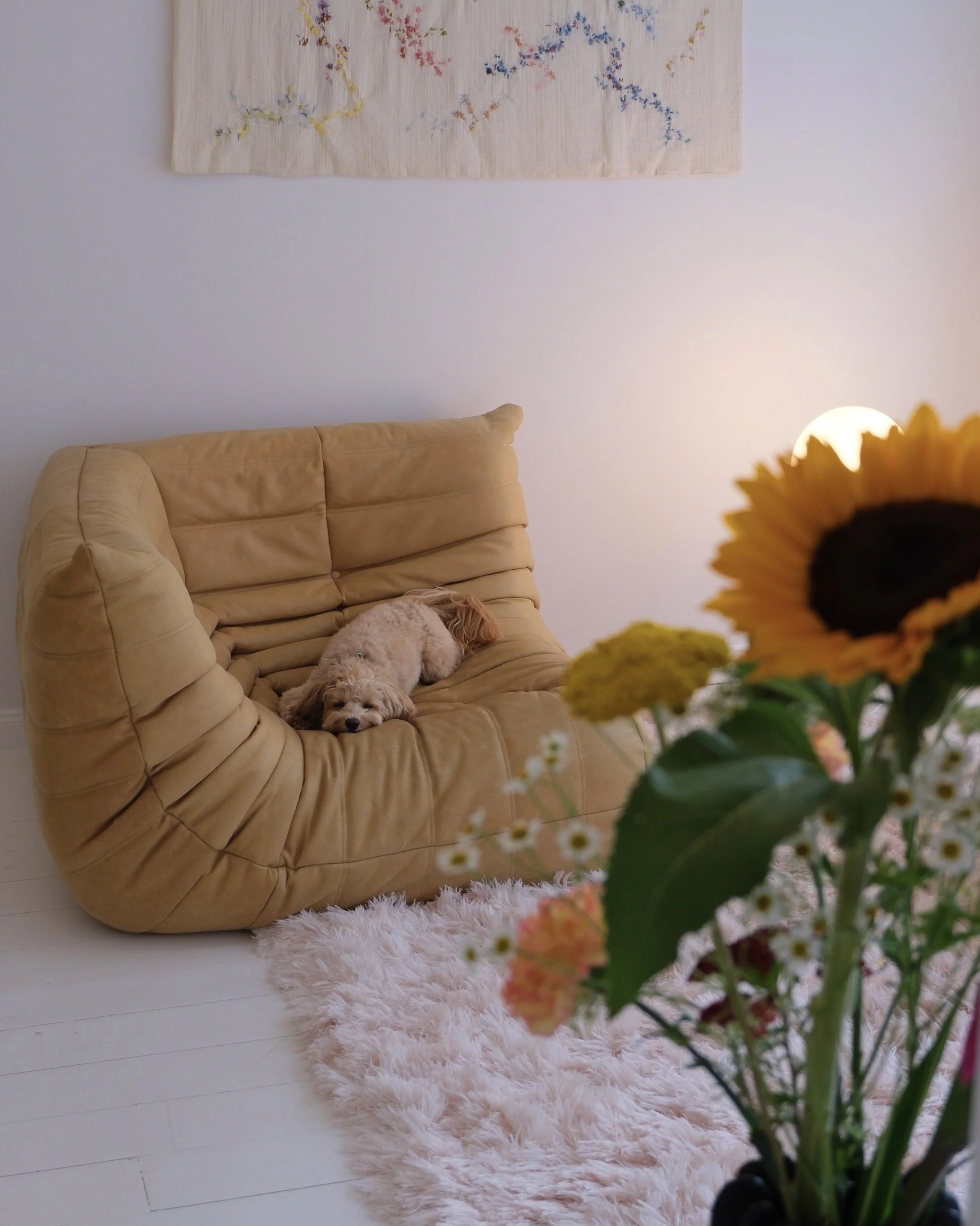 FullSizeRender_VSCO 36.jpg