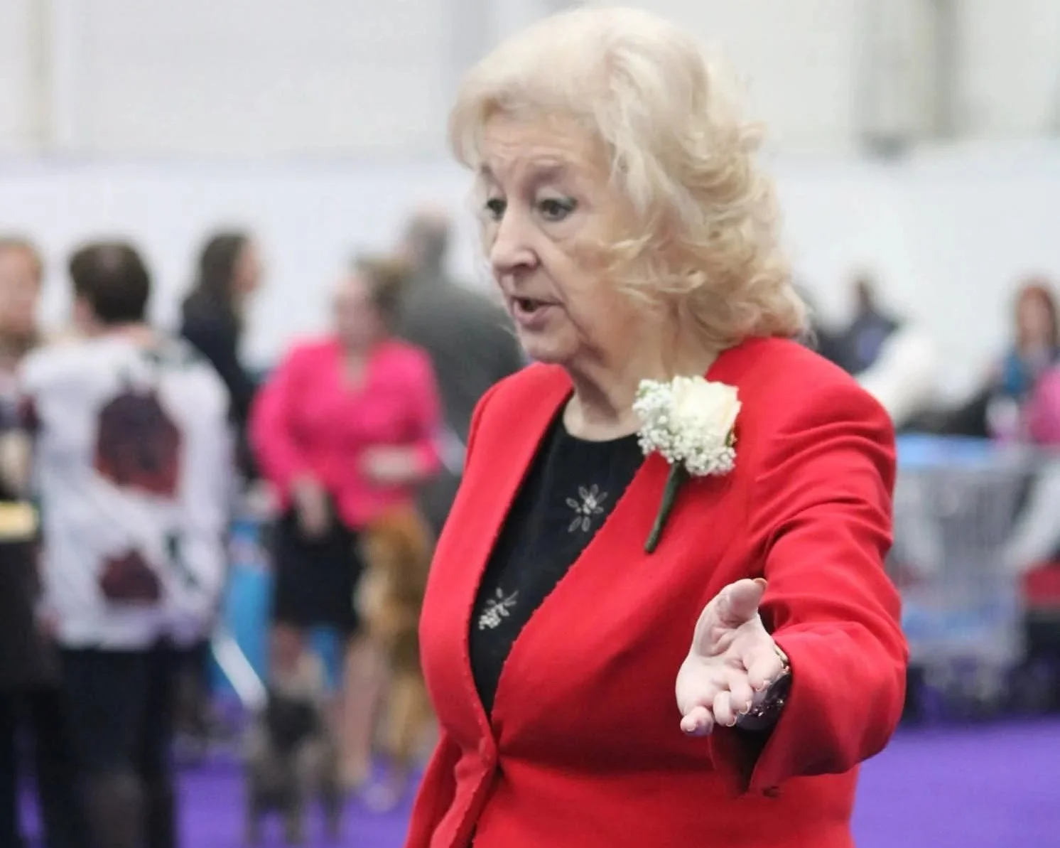 Judges seminars with Christina Chapman.