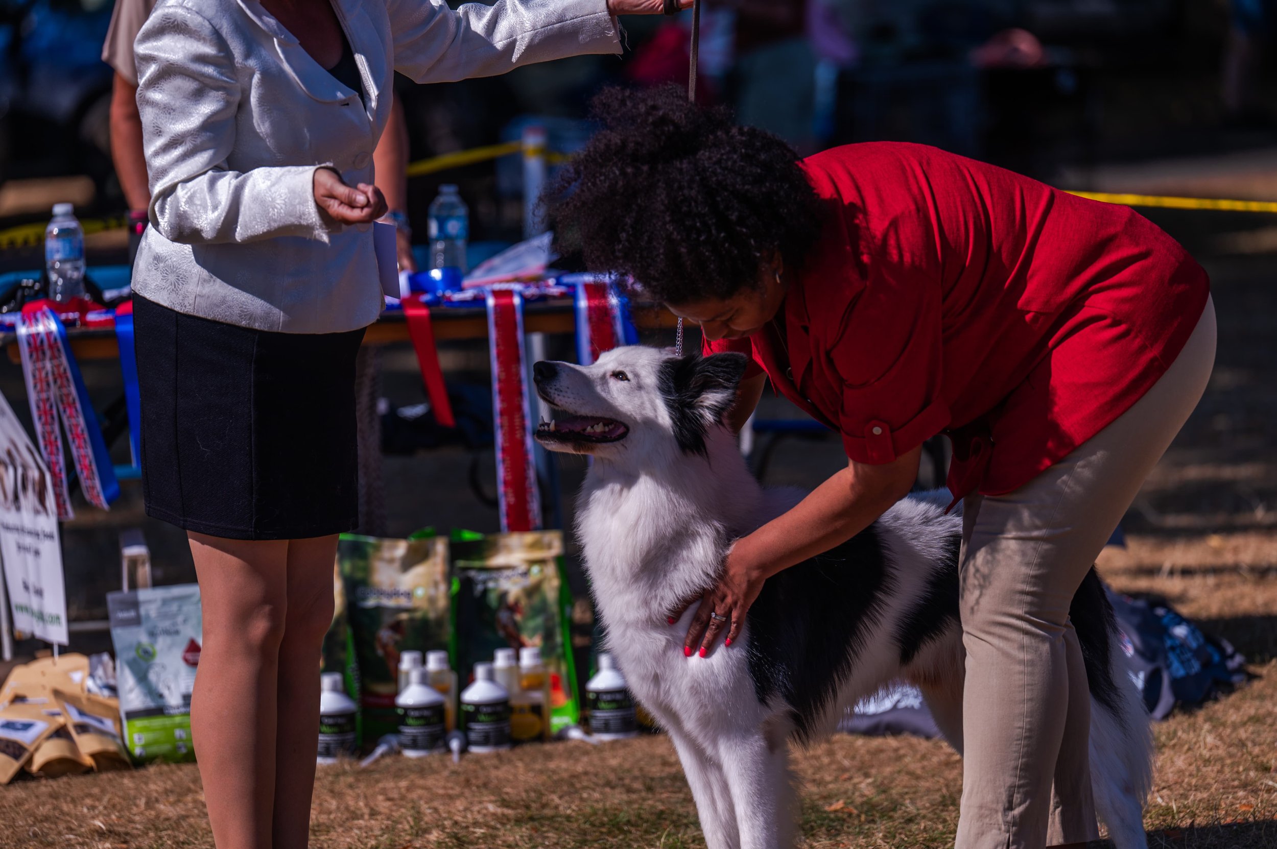 Yakutian Laika Club UK Breed Show 2026