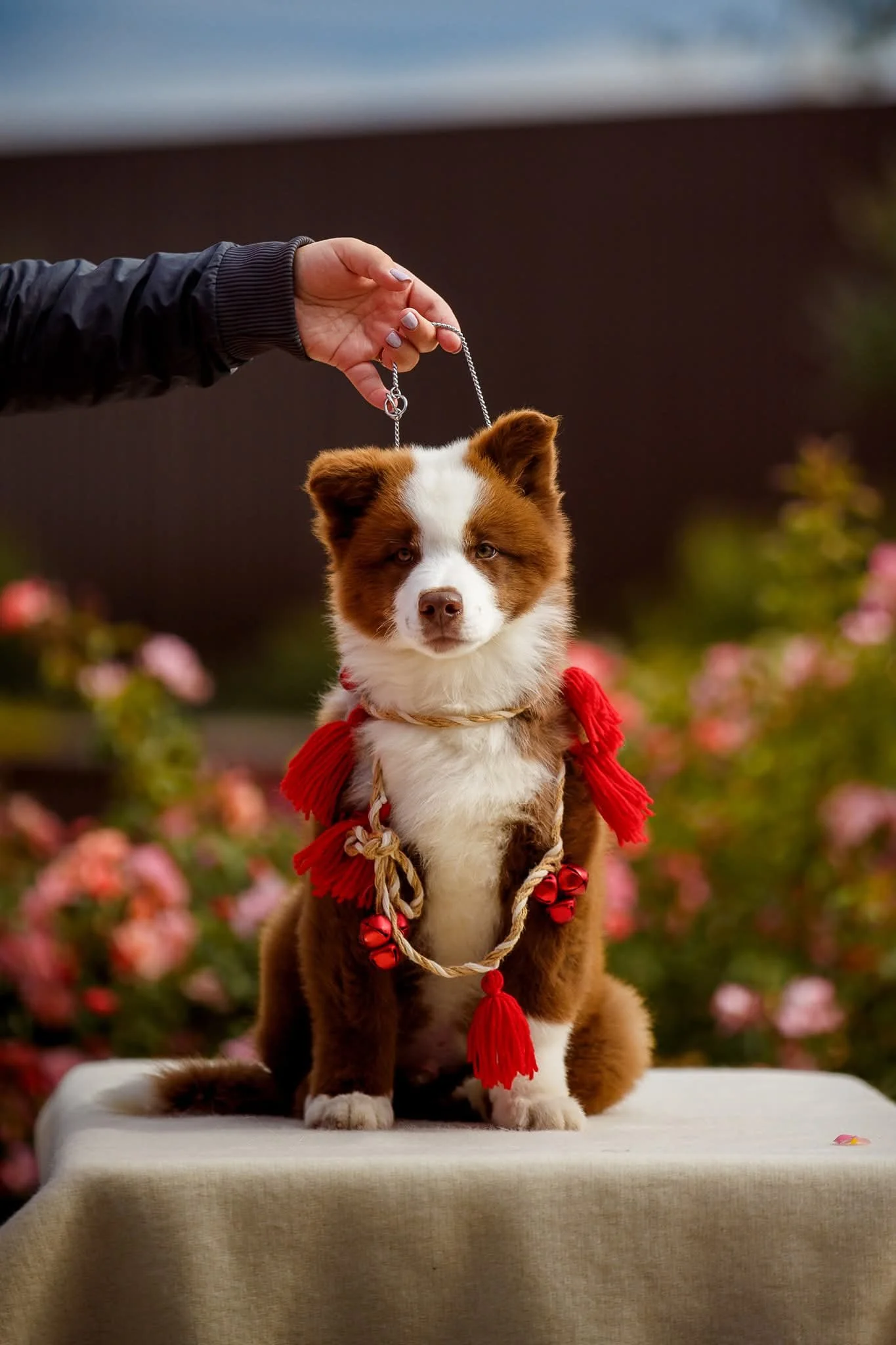 WhatsApp Image 2025-11-28 at 13.38.53.jpeg