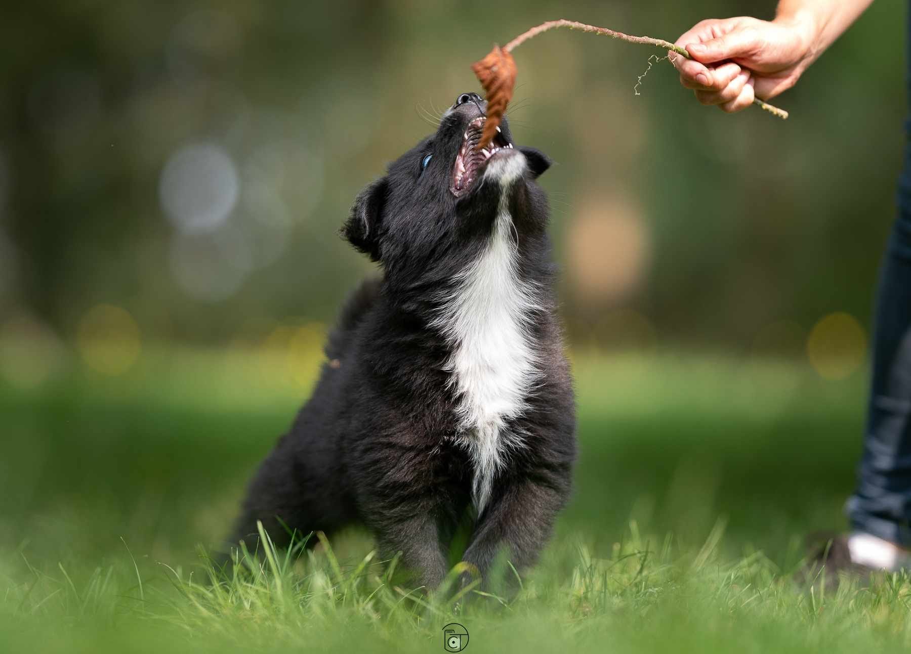 WhatsApp Image 2025-11-28 at 13.41.23.jpeg