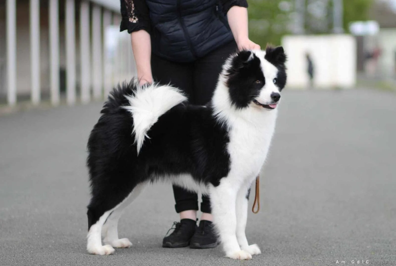 WhatsApp Image 2025-09-22 at 14.31.42_f66b54de.jpg