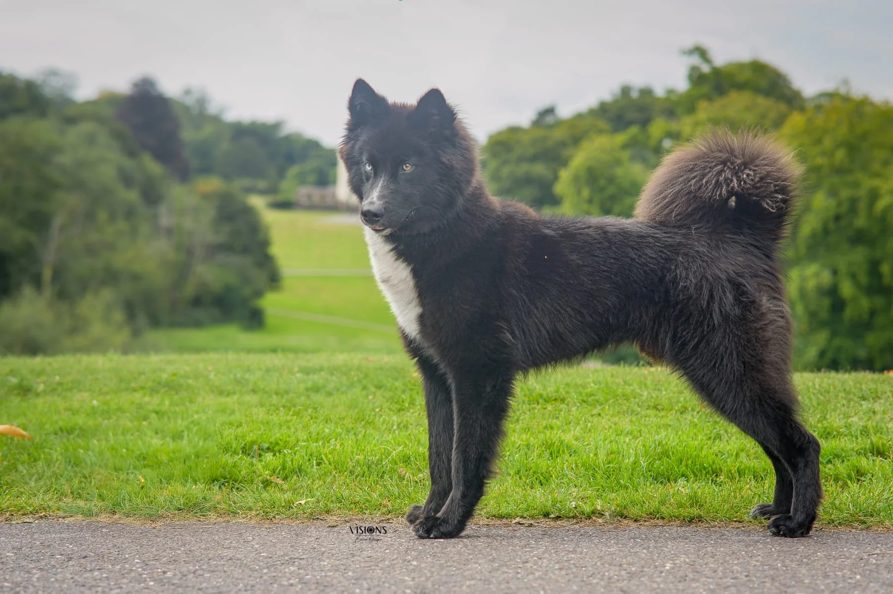 WhatsApp Image 2025-11-28 at 13.27.27.jpeg