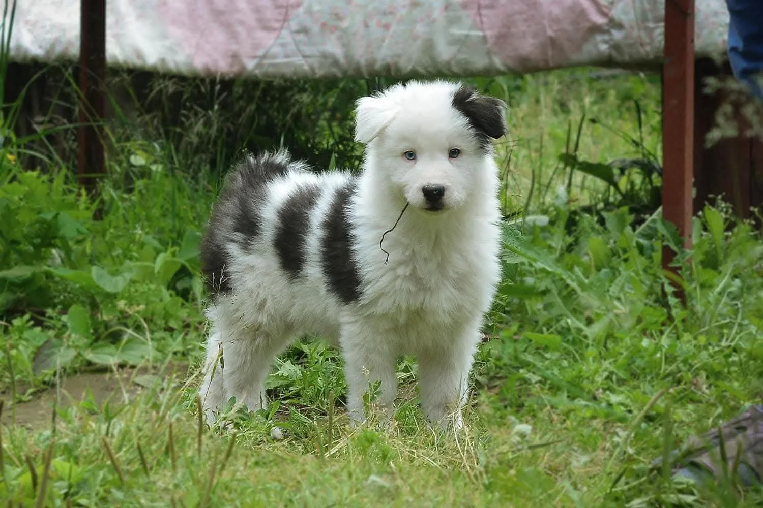 WhatsApp Image 2025-11-28 at 13.39.36.jpeg