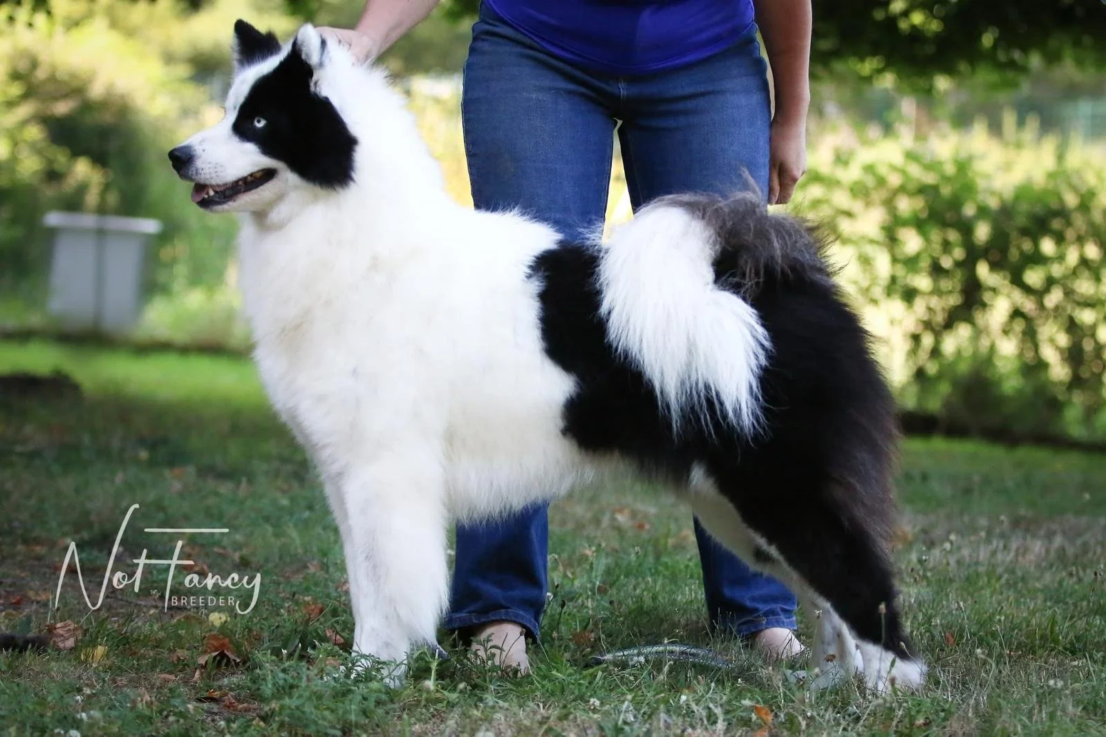 WhatsApp Image 2025-09-22 at 14.31.42_5a05901e.jpg