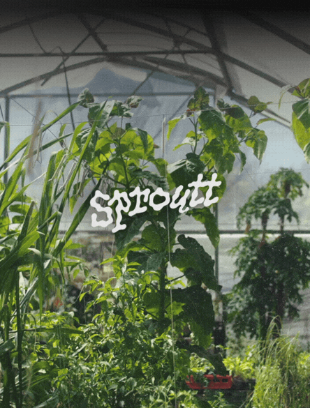Website design and brand identity for Sproutt, a gardening and landscaping company