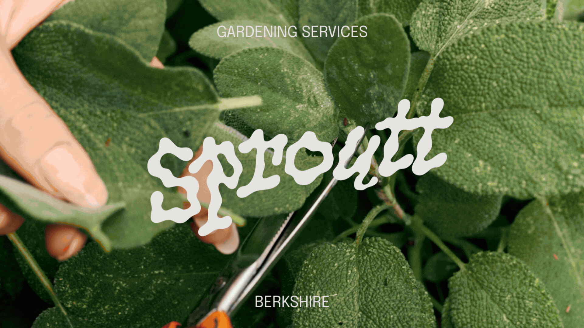 Small business marketing, design and digital services