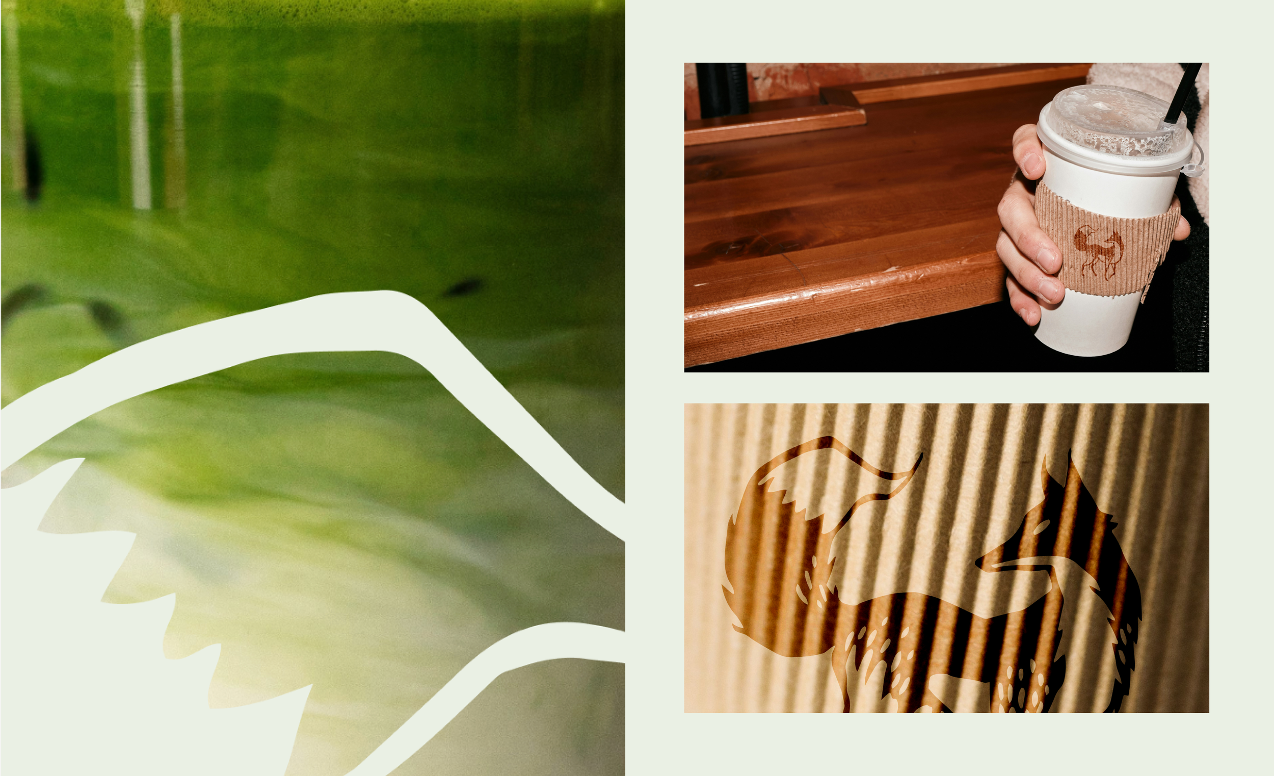 Coffee shop branding on packaging