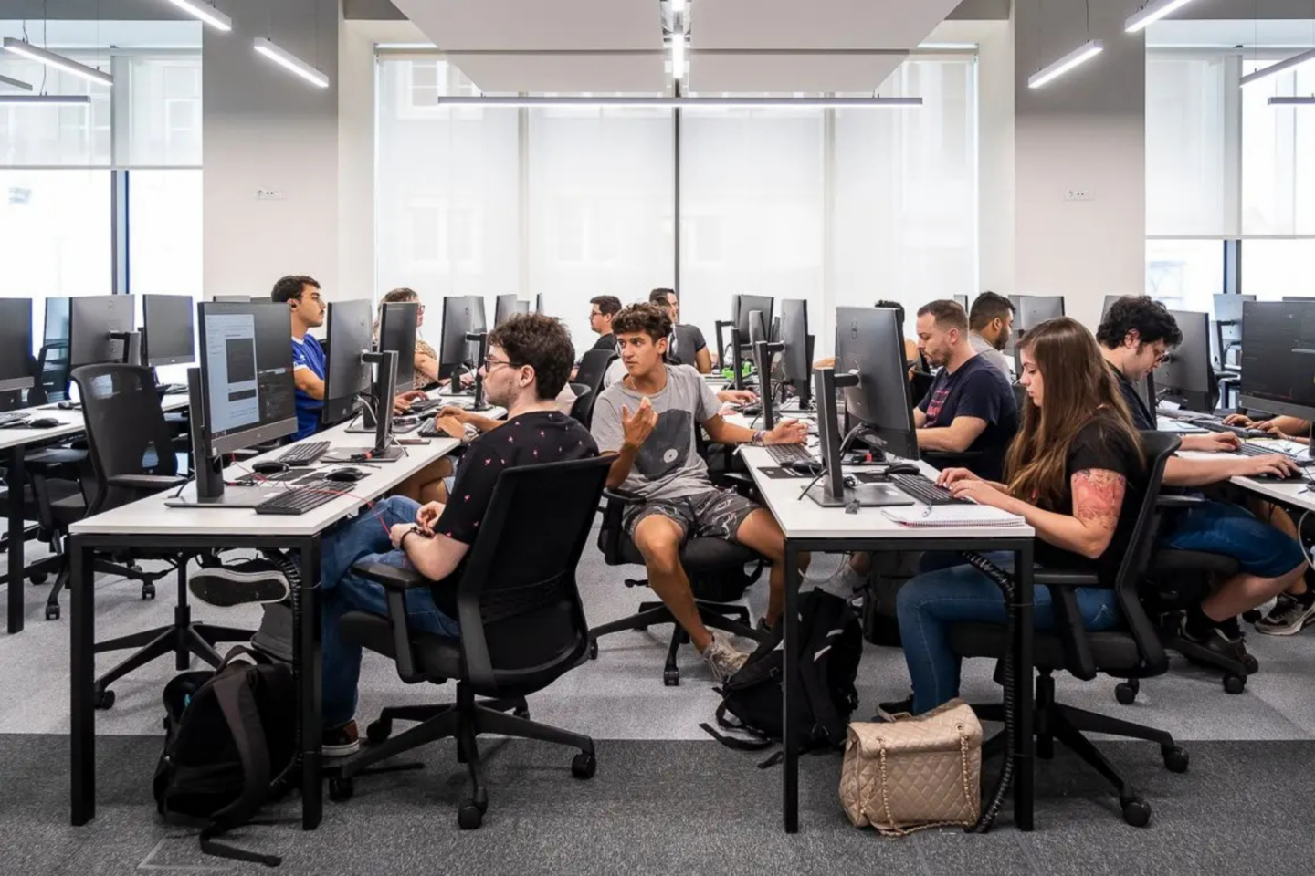 Programa de estágios de verão oferece bolsas de 920 euros a jovens portuenses