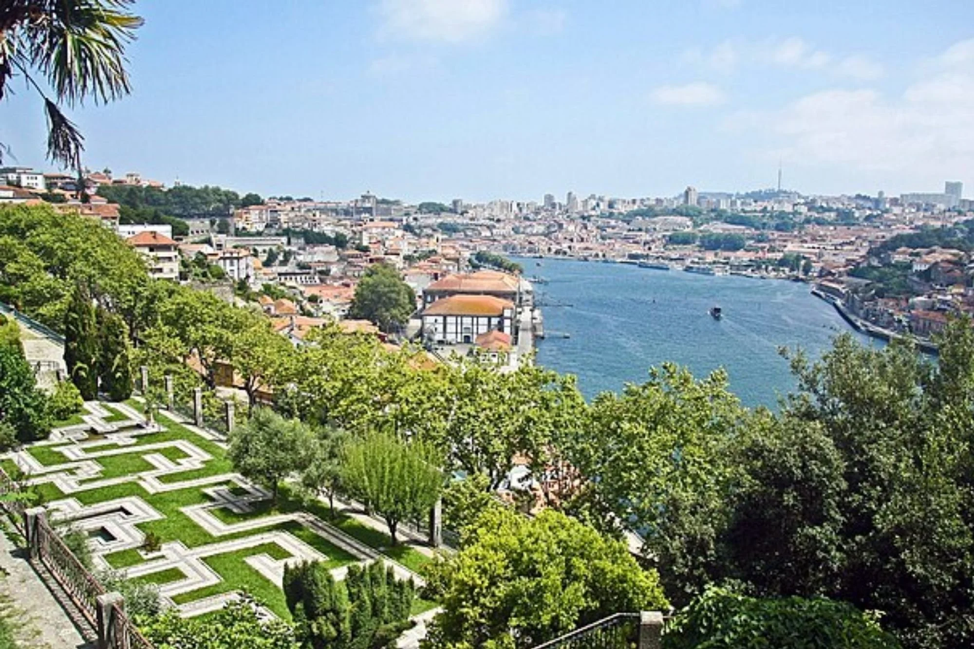 De abril a novembro, a “Rota das Árvores” explora o património arbóreo do Porto