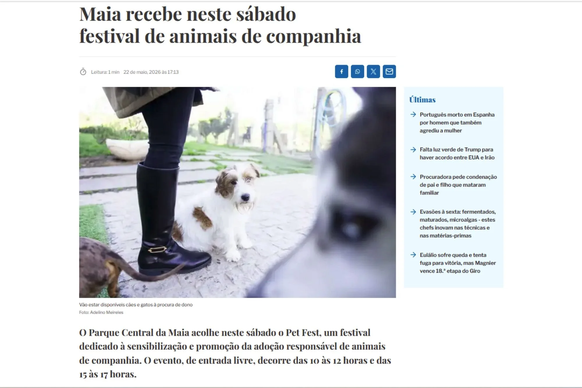 Maia recebe neste sábado festival de animais de companhia