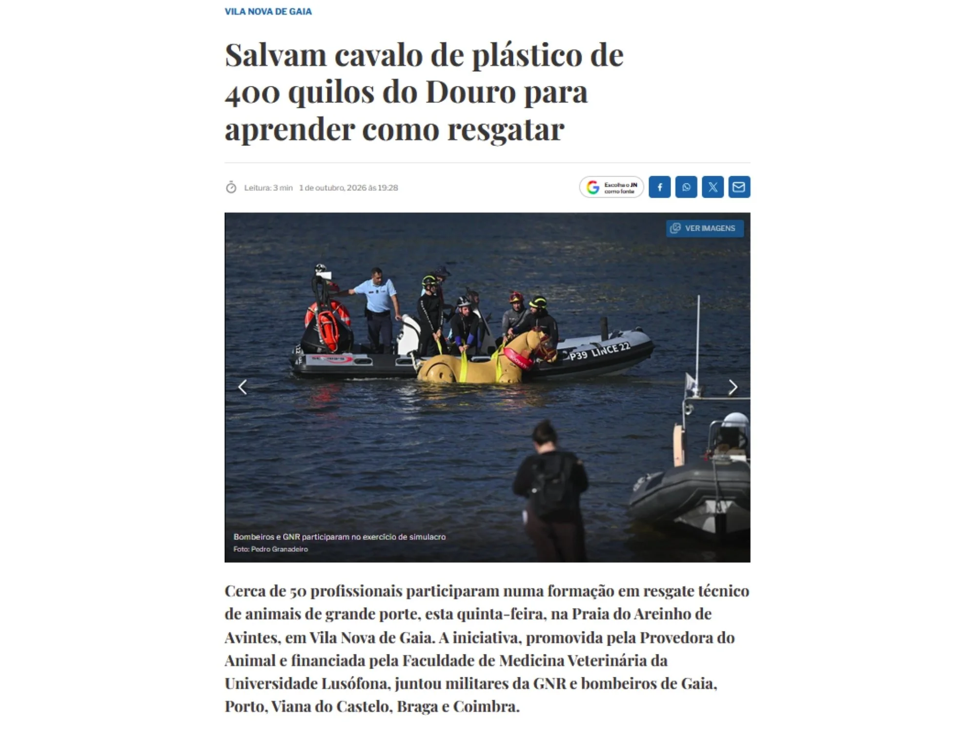 Salvam cavalo de plástico de 400 quilos do Douro para aprender como resgatar