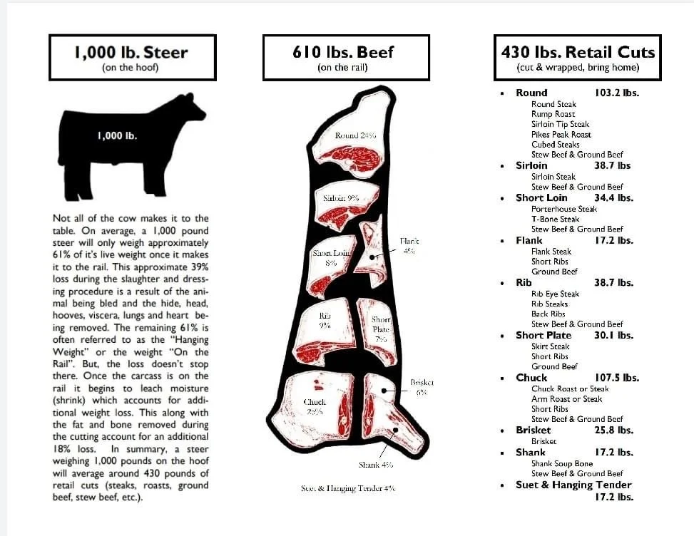 Elm CDiagram illustrating different parts of a cow and their approximate weights in beef, including the steer, beef cuts, and specific cuts such as round, sirloin, short loin, flank, rib, short plate, chuck, brisket, shank, and stew & hanging tender.
