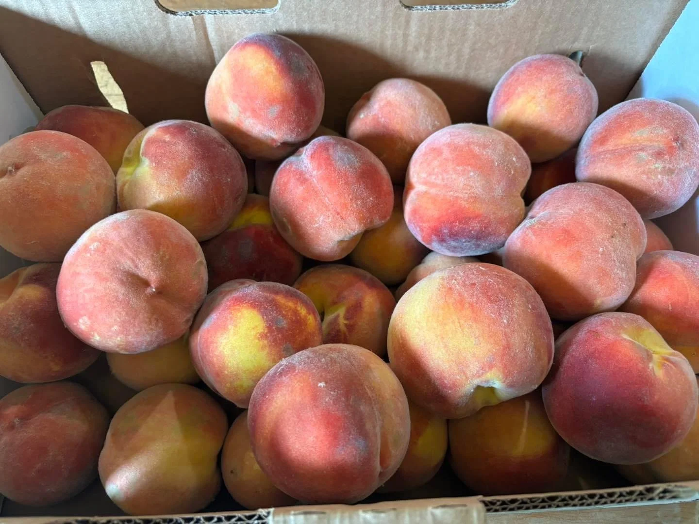 Elm Creek Beef A box filled with fresh peaches.
