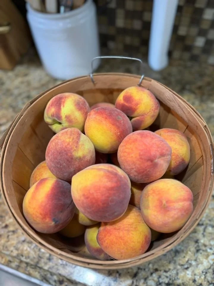 Elm Creek Beef A basket of fresh peaches placed on a countertop in a kitchen.