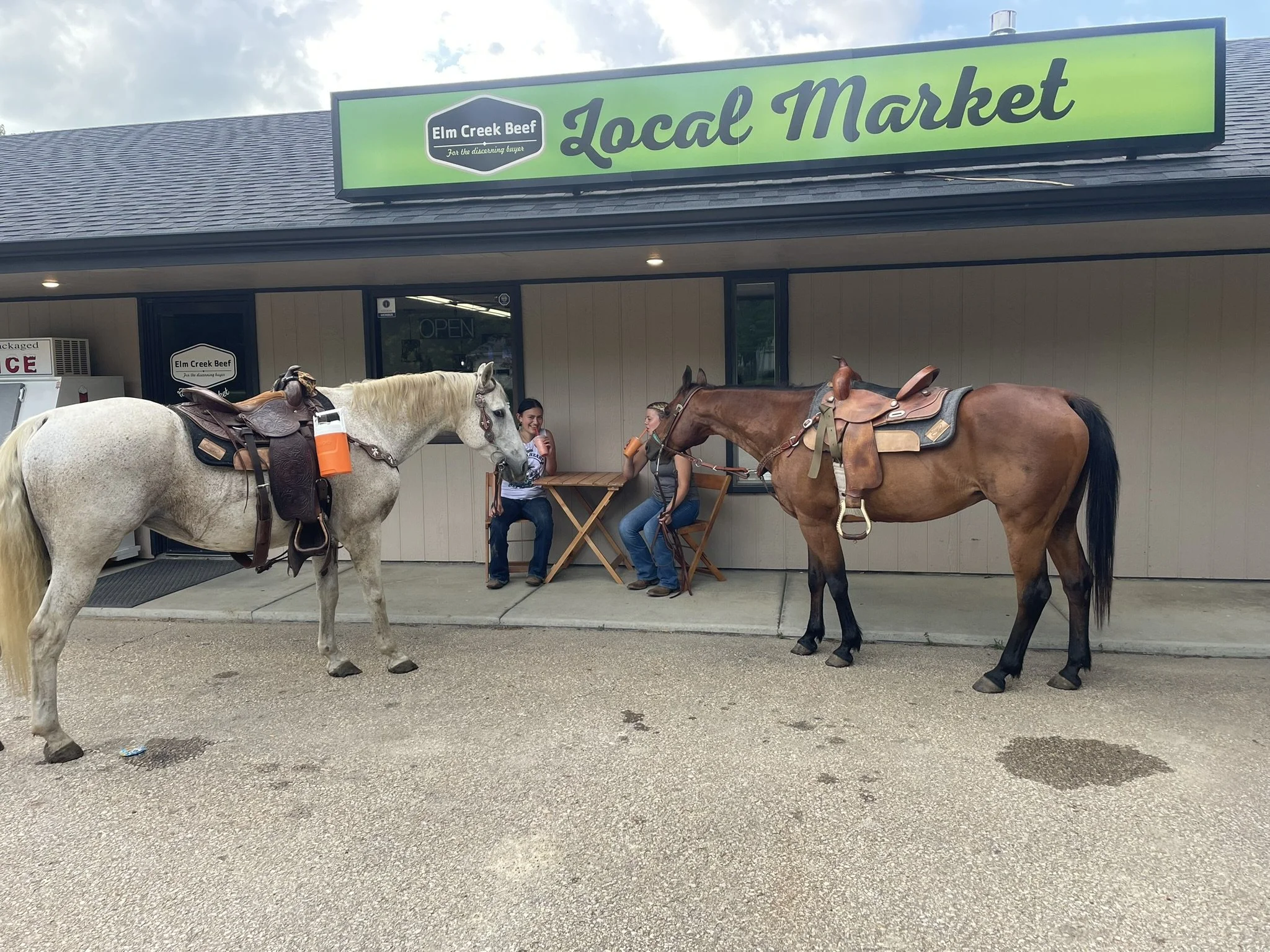 Elm Creek Beef Two women sitting outside Elm Creek Beef Local Market with two horses saddled and bridled, facing each other, on a concrete sidewalk.