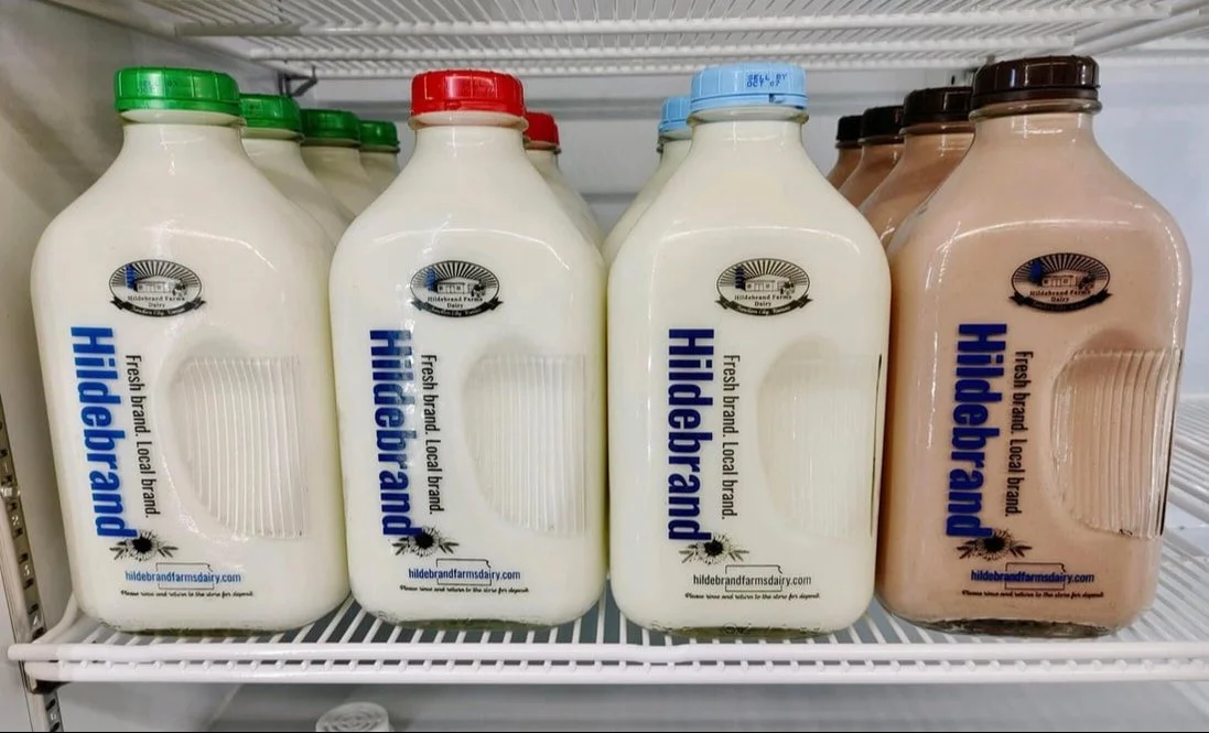 Bottles of milk on a refrigerated shelf, including whole milk and chocolate milk.
