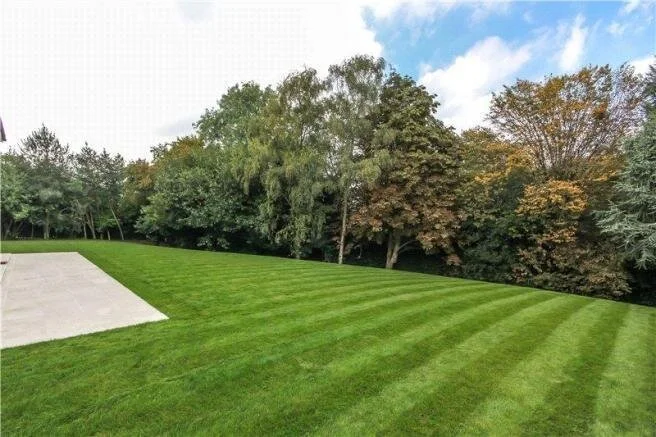 A well-maintained lawn with striped grass, a concrete patio area on the left, and a background of trees with autumn foliage.