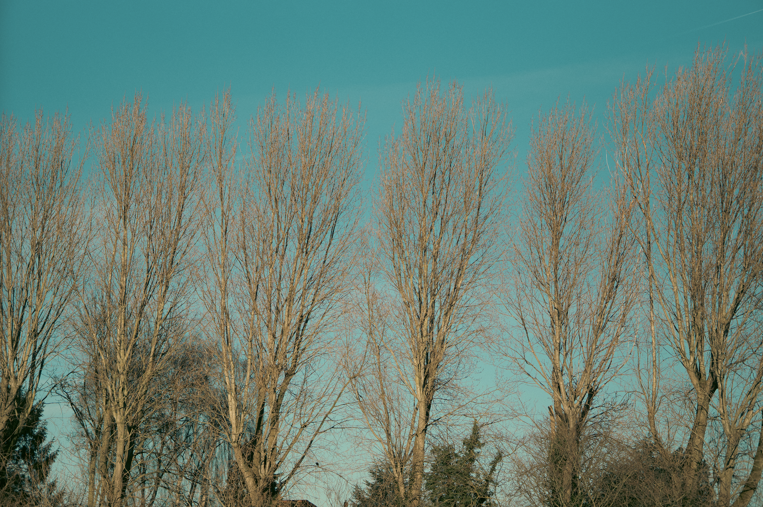 Screenshot 2026-02-16 at 12.02.25.png