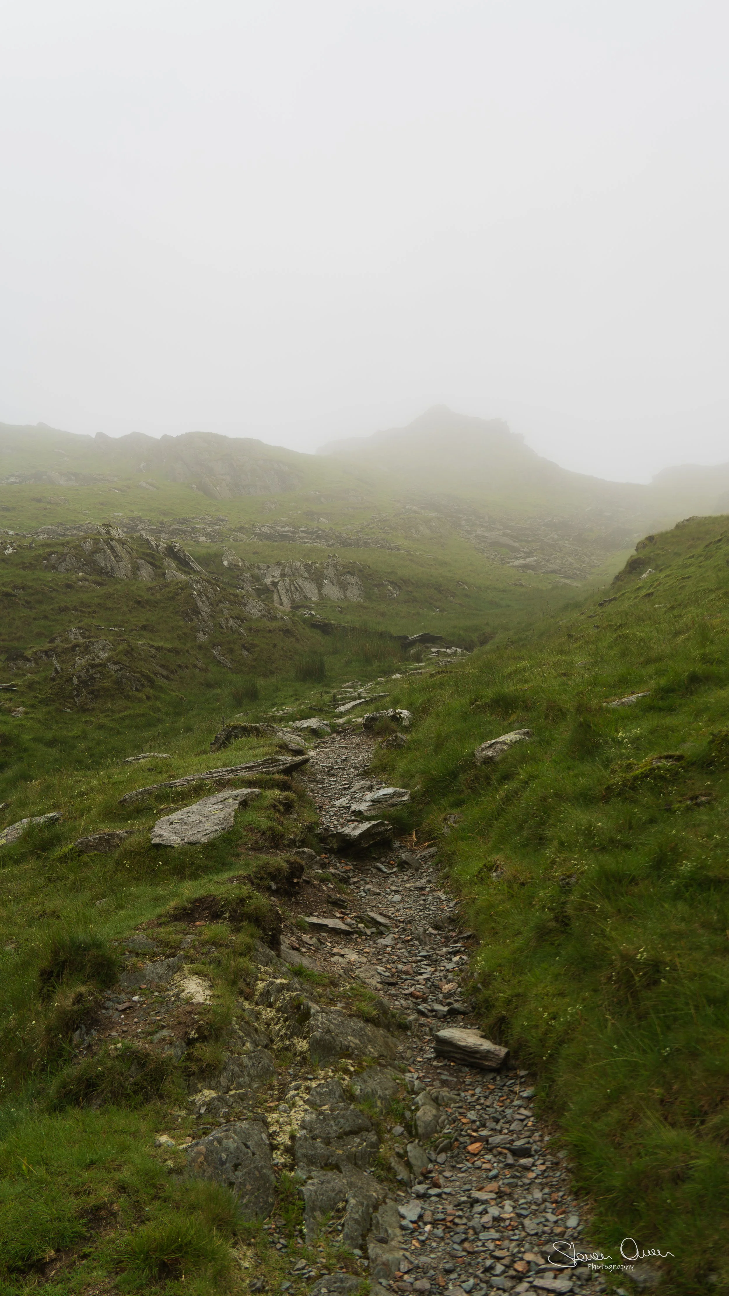 DSC08728.jpg