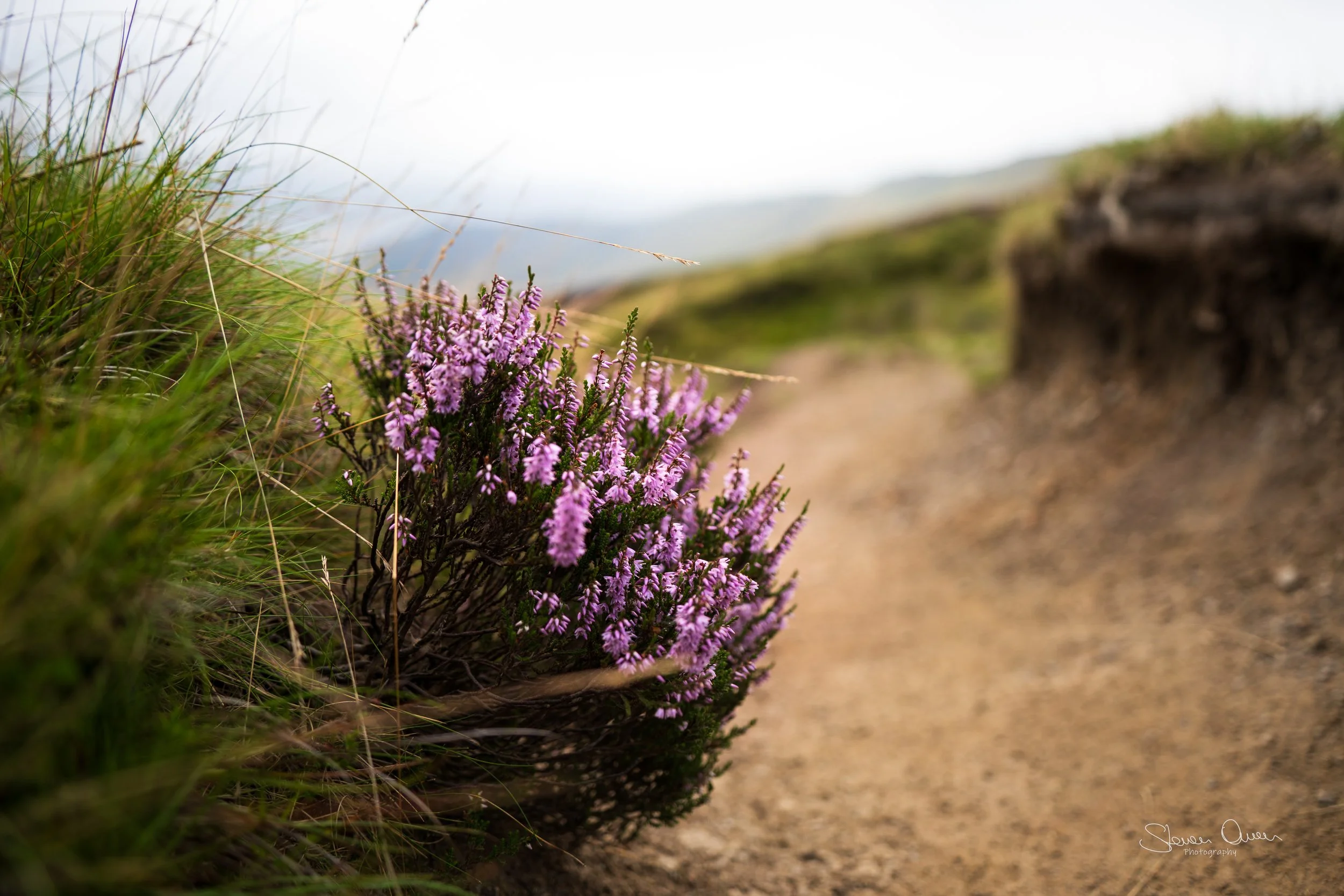 Snake Path Circular - Peak District