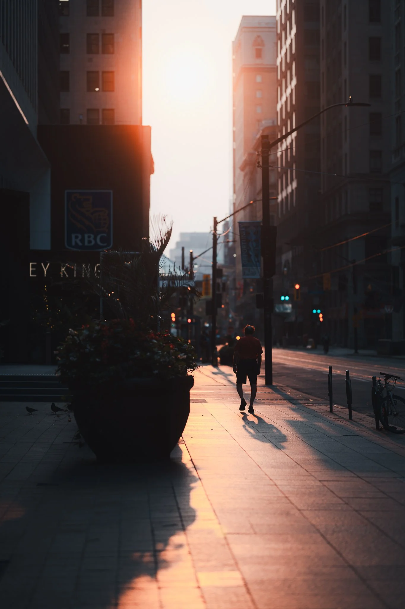 A person walking alone on a city sidewalk during sunset, with tall buildings and street lights in the background.