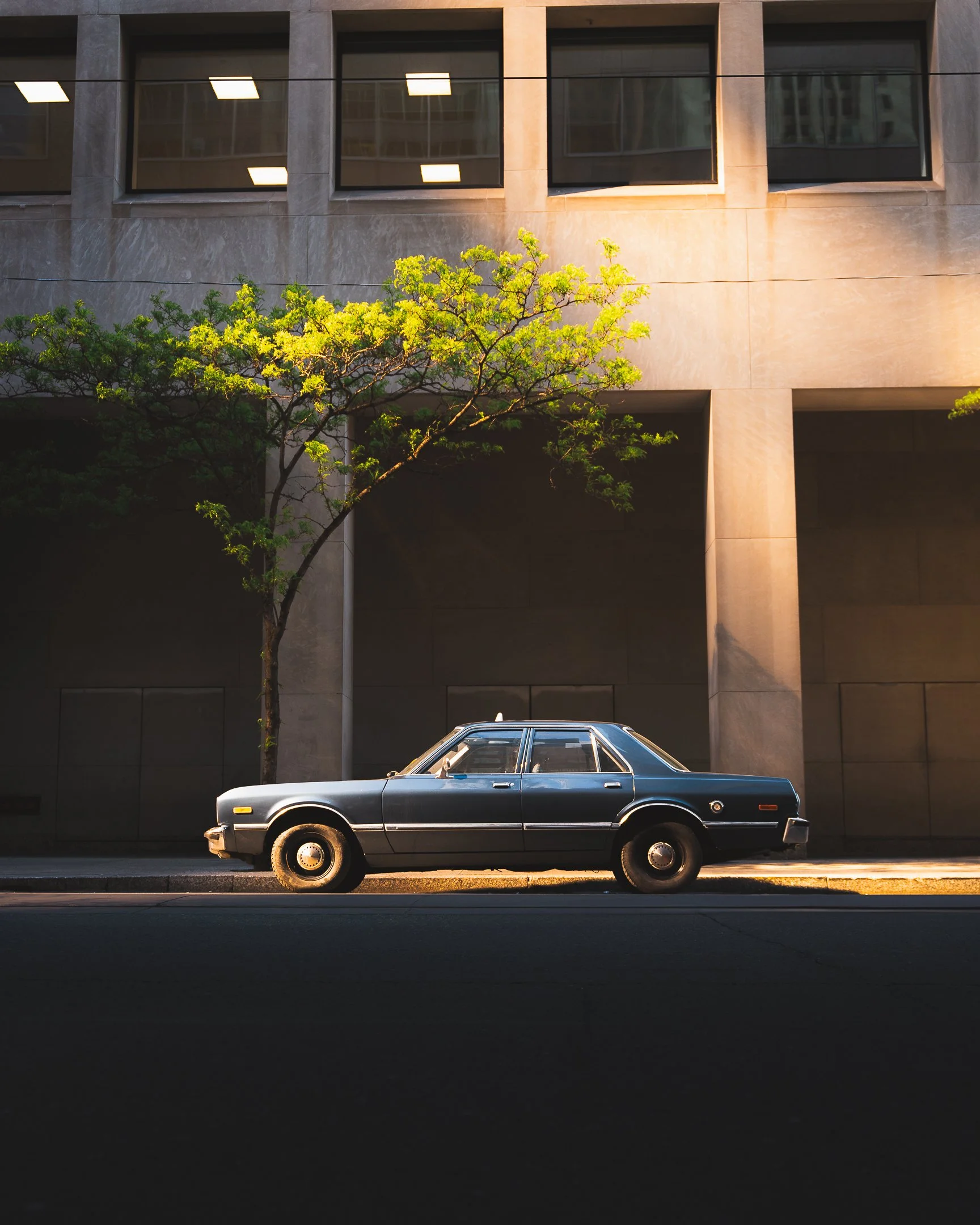 A vintage dark blue sedan car parked on a city street beside a tree with green leaves, in front of a modern building with large windows reflecting ceiling lights.