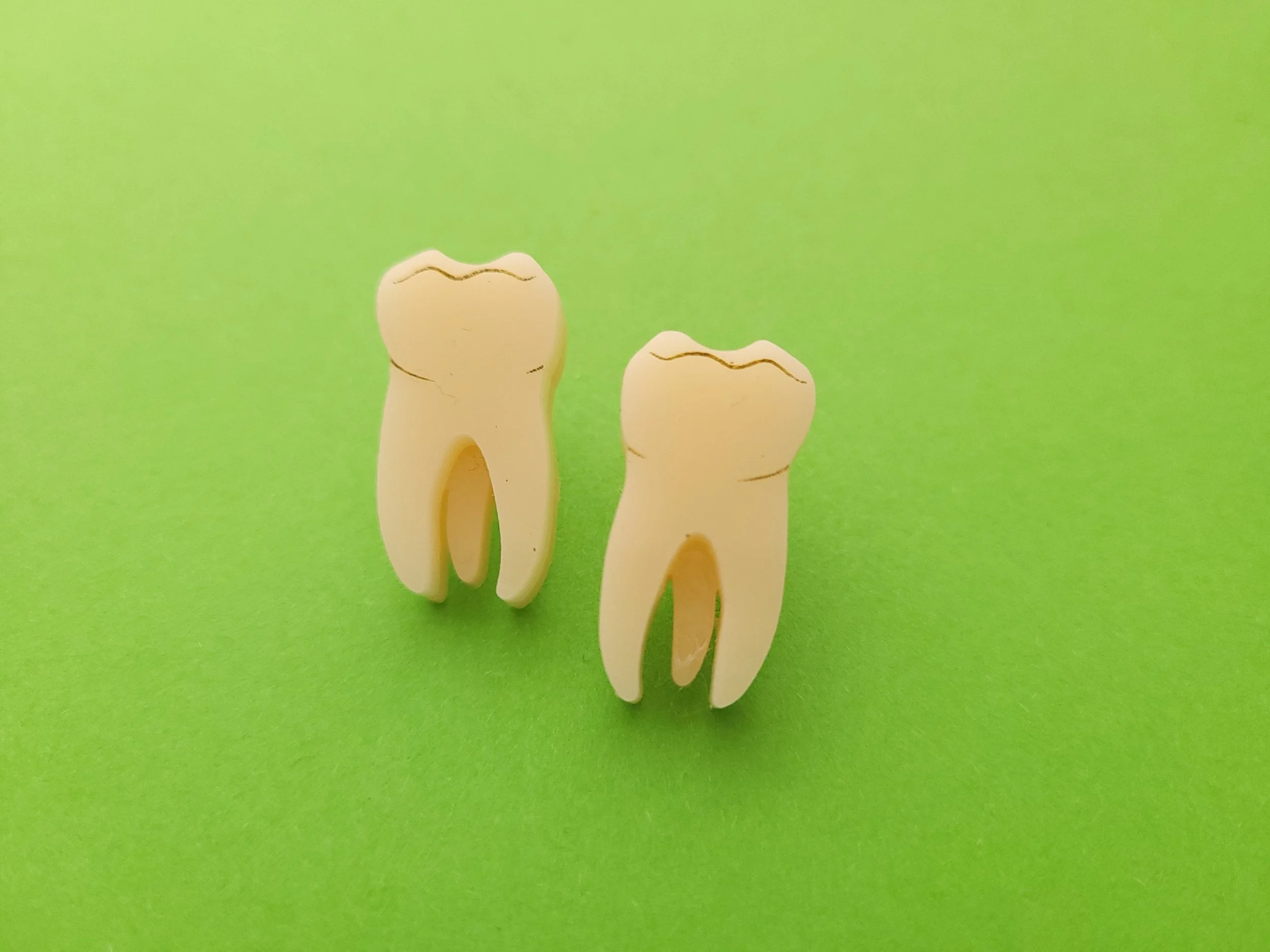 tooth earrings 2.jpg