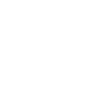 Shopping basket icon