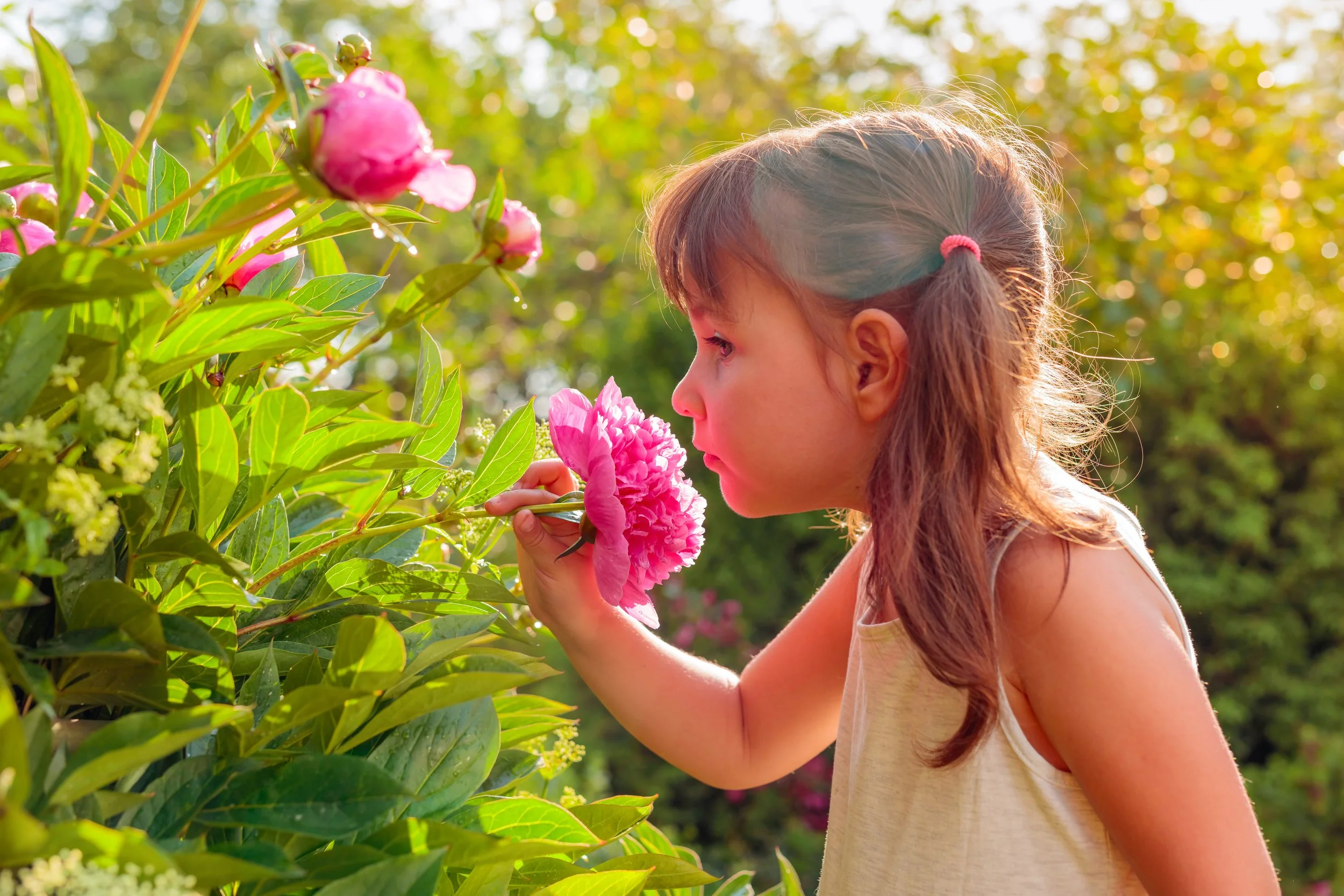 Young girl smelling pink peony flower in garden with sunlight filtering through trees.