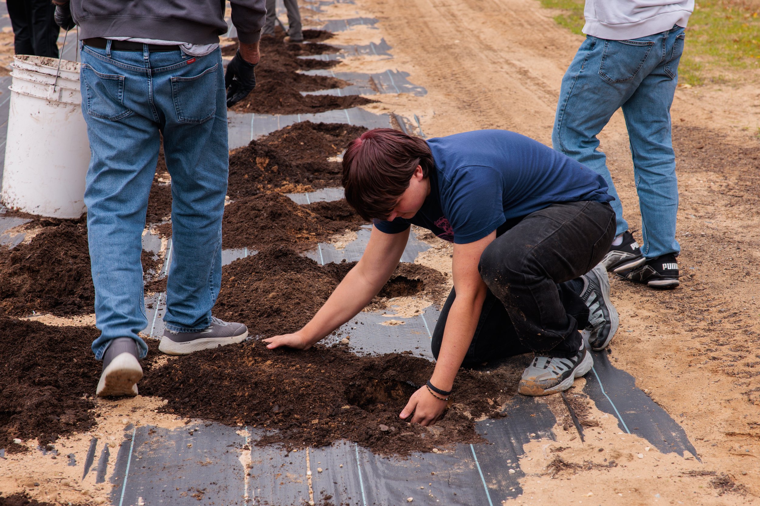 People planting seeds in prepared soil on a farm or garden bed.
