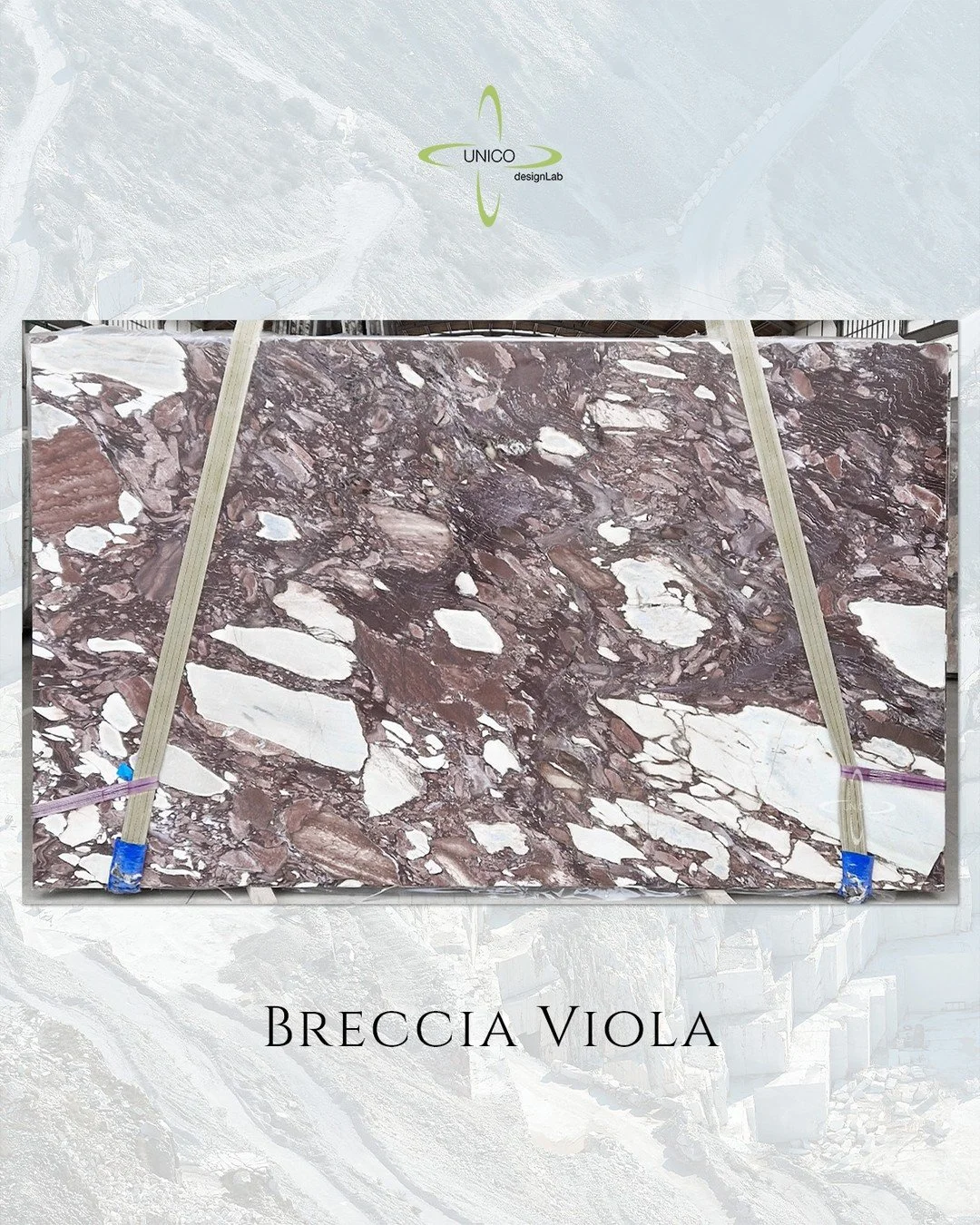 Featured Material | Breccia Viola

A truly expressive Italian marble, Breccia Viola is defined by its rich, painterly movement&mdash;creamy white or bright ivory fields intertwined with dramatic strokes of deep purple, red, and hints of gold. Bold, s