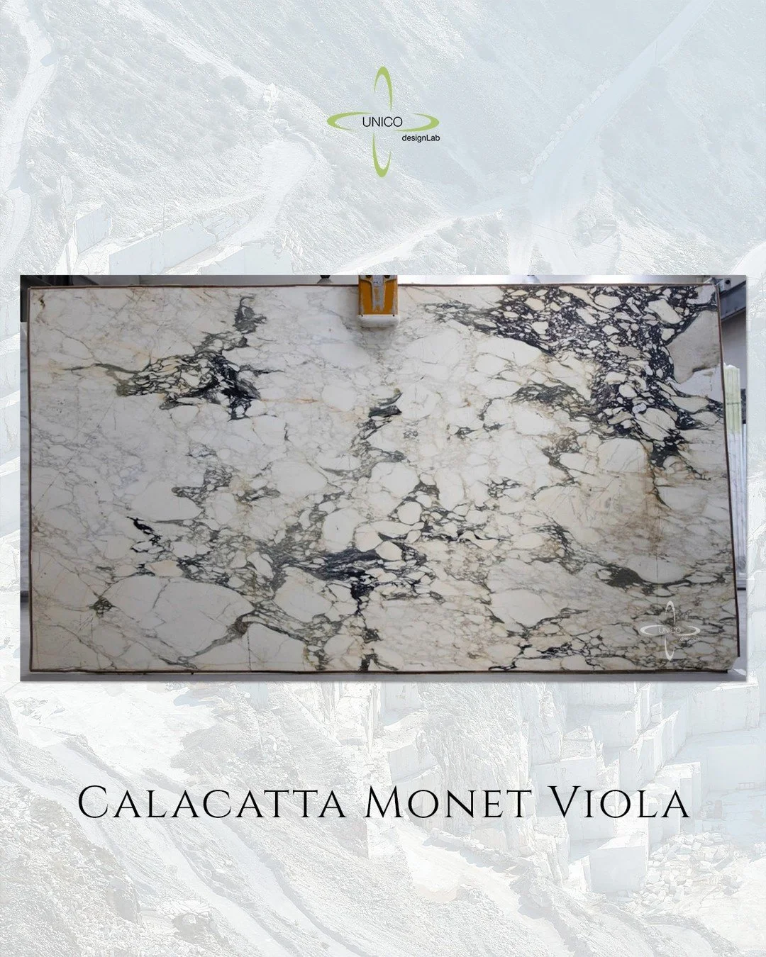A painterly marble with depth.

This Calacatta Monet Viola slab reads like a composed canvas&mdash;creamy fields interrupted by expressive charcoal and violet veining that drifts, pools, and reconnects across the surface. The movement is bold yet ref