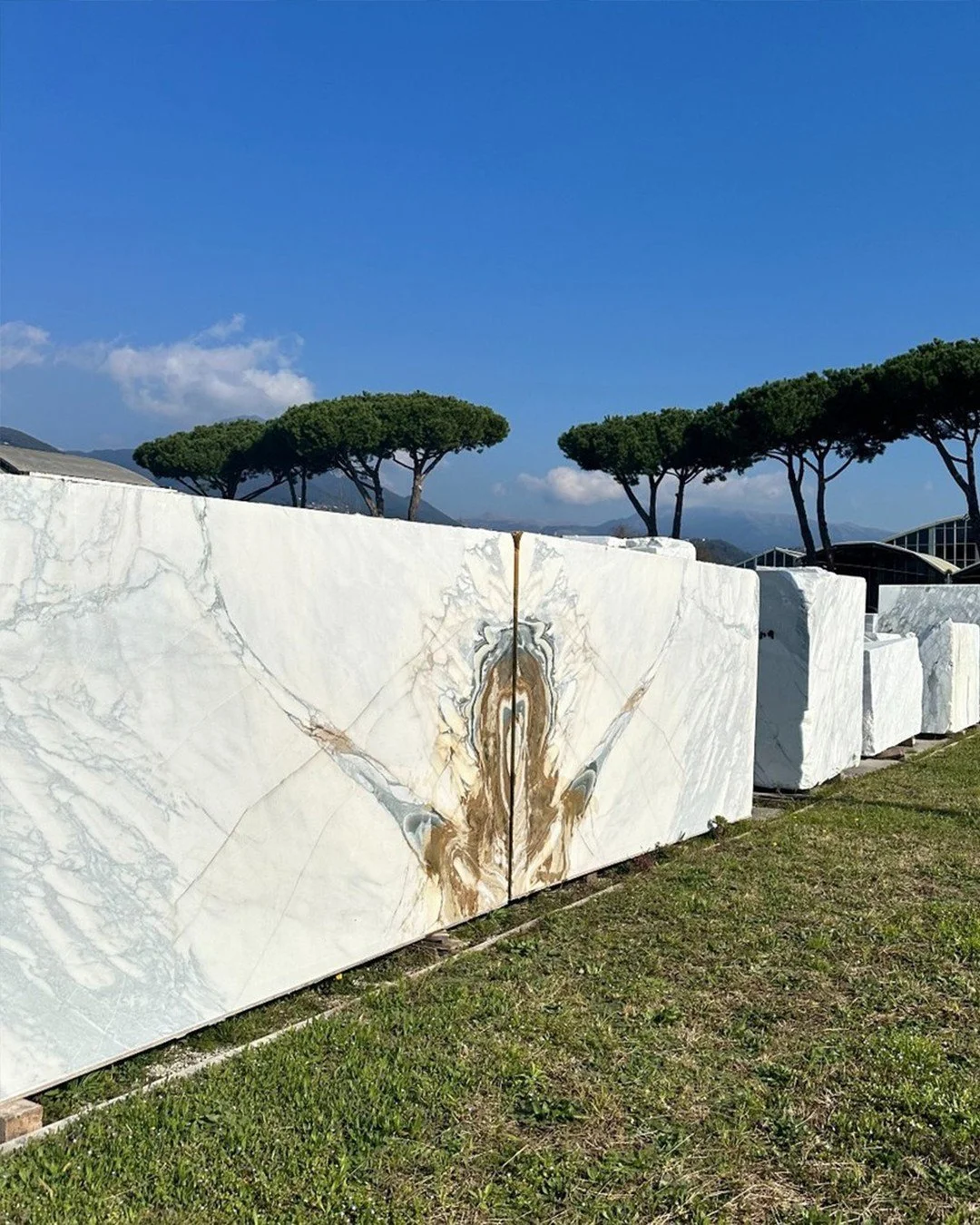 A pair of book matched blocks of stone. Perfectly matched now form something closer to a painting than a surface.
This happens to be Arabescato Corchia, but book matching can happen in any stone with dramatic veining.  At this scale it also requires 