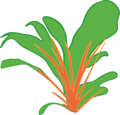 Mandarin Plant Icon • By Railyn