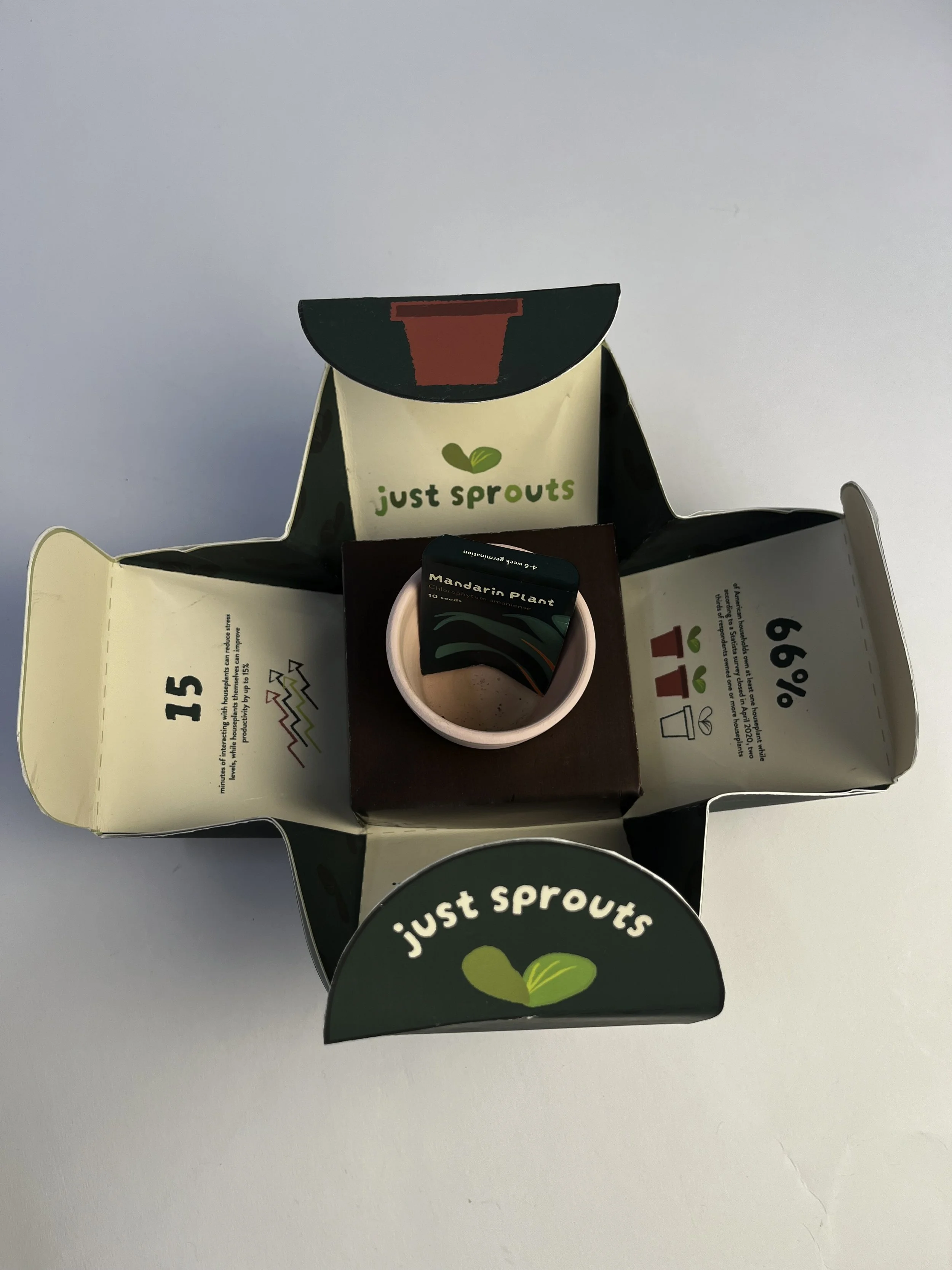 Packaging • By Railyn