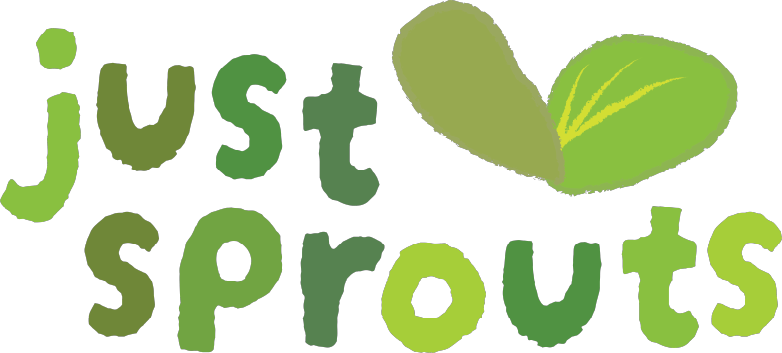 Secondary Logo • By Ethan