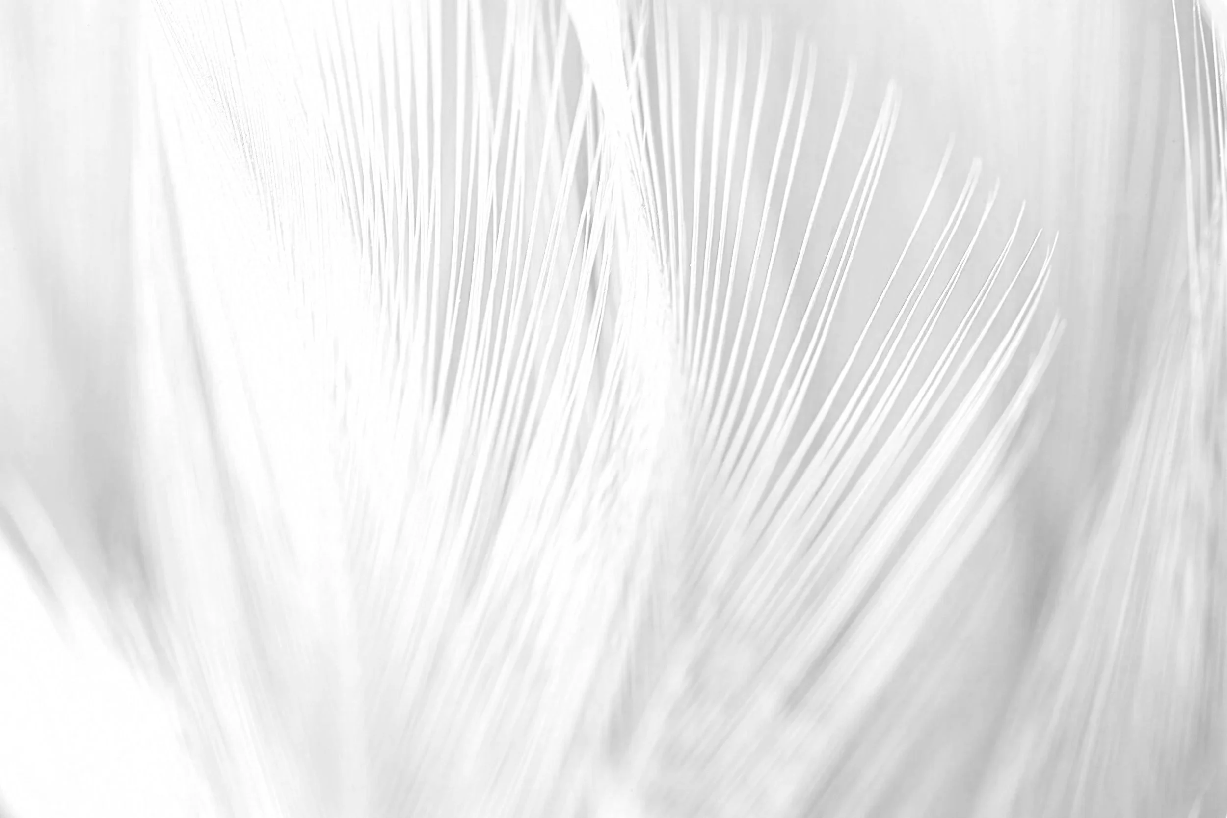 Good Enough: Letting Go of Perfectionism