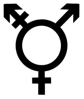 Transgender symbol. A combination of the Venus and Mars astrological signs with the androgyny sign.